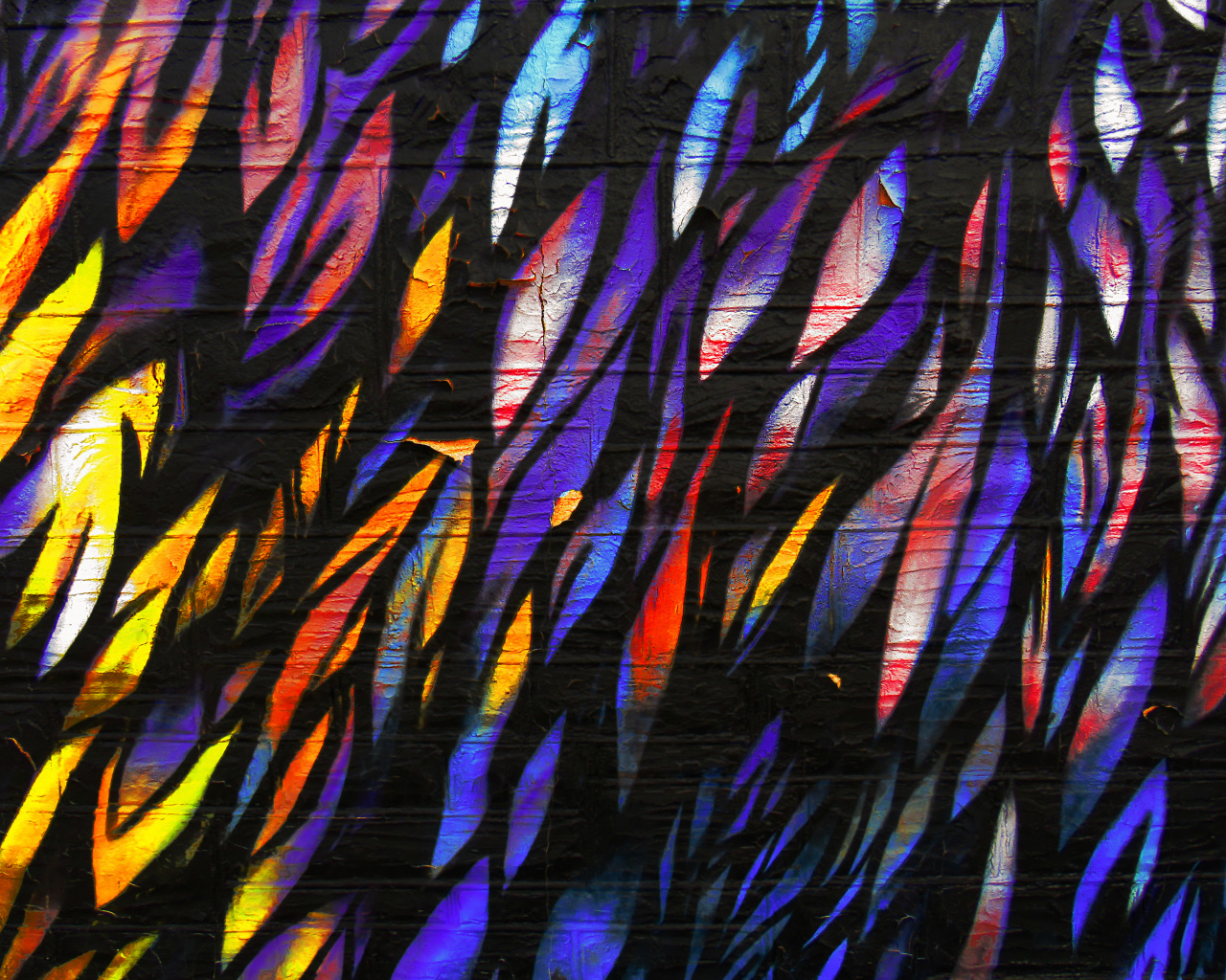 Рисунок перья на стене крупным планом