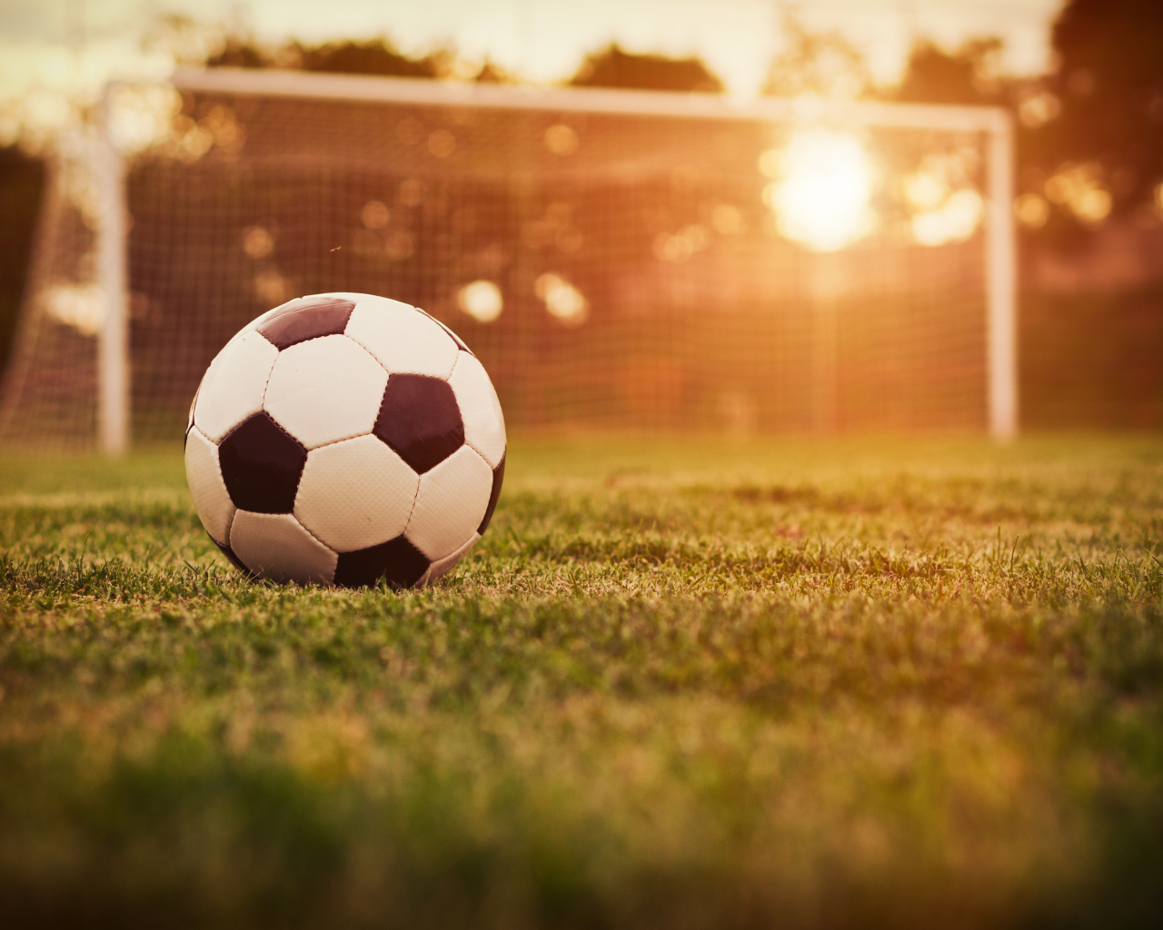 Футбольный мяч лежит на поле у ворот