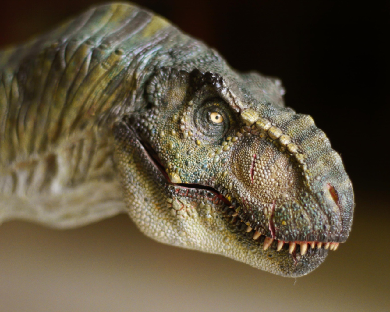 Морда динозавра т рекса крупным планом