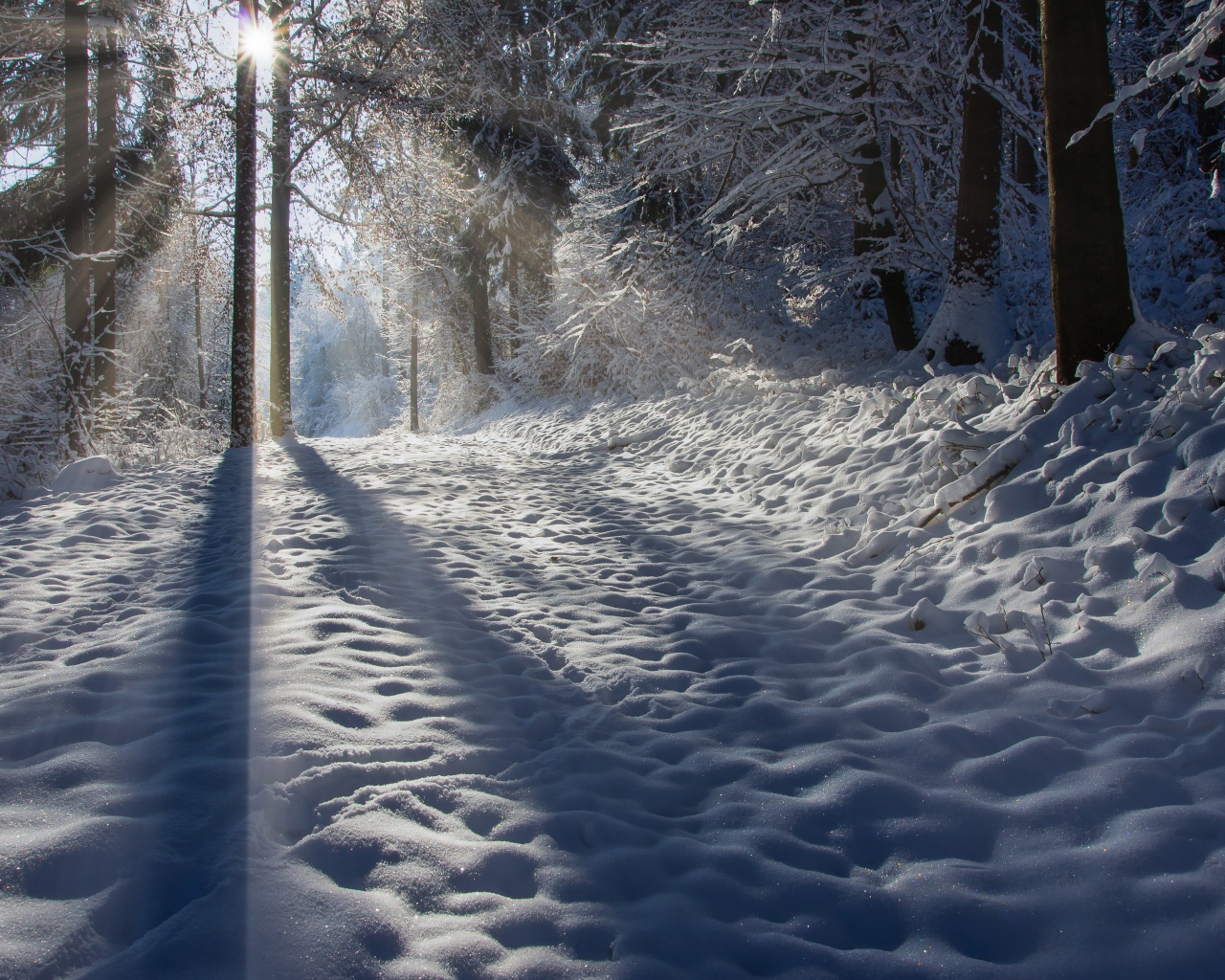 Лучи солнца освещают заснеженную дорогу 