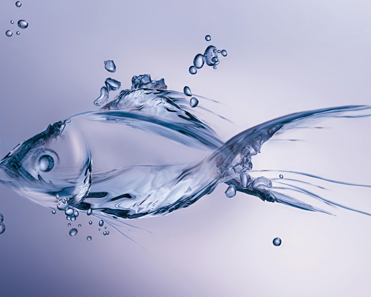 Рыба из воды на синем фоне