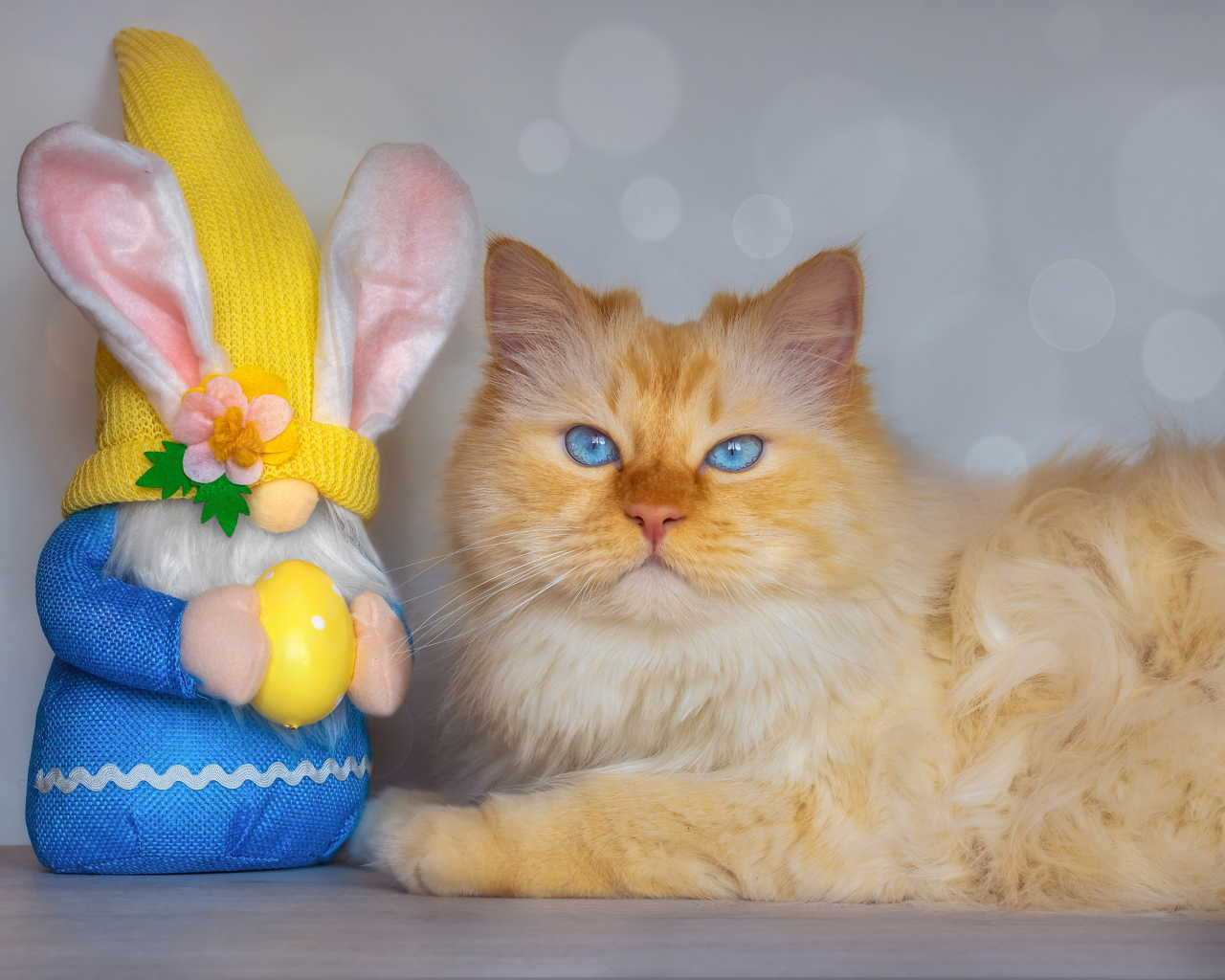 Рыжий кот с игрушечным гномом 