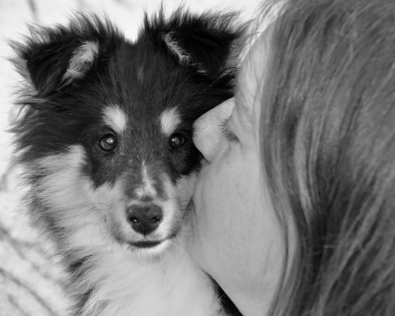 Девушка целует милого щенка 