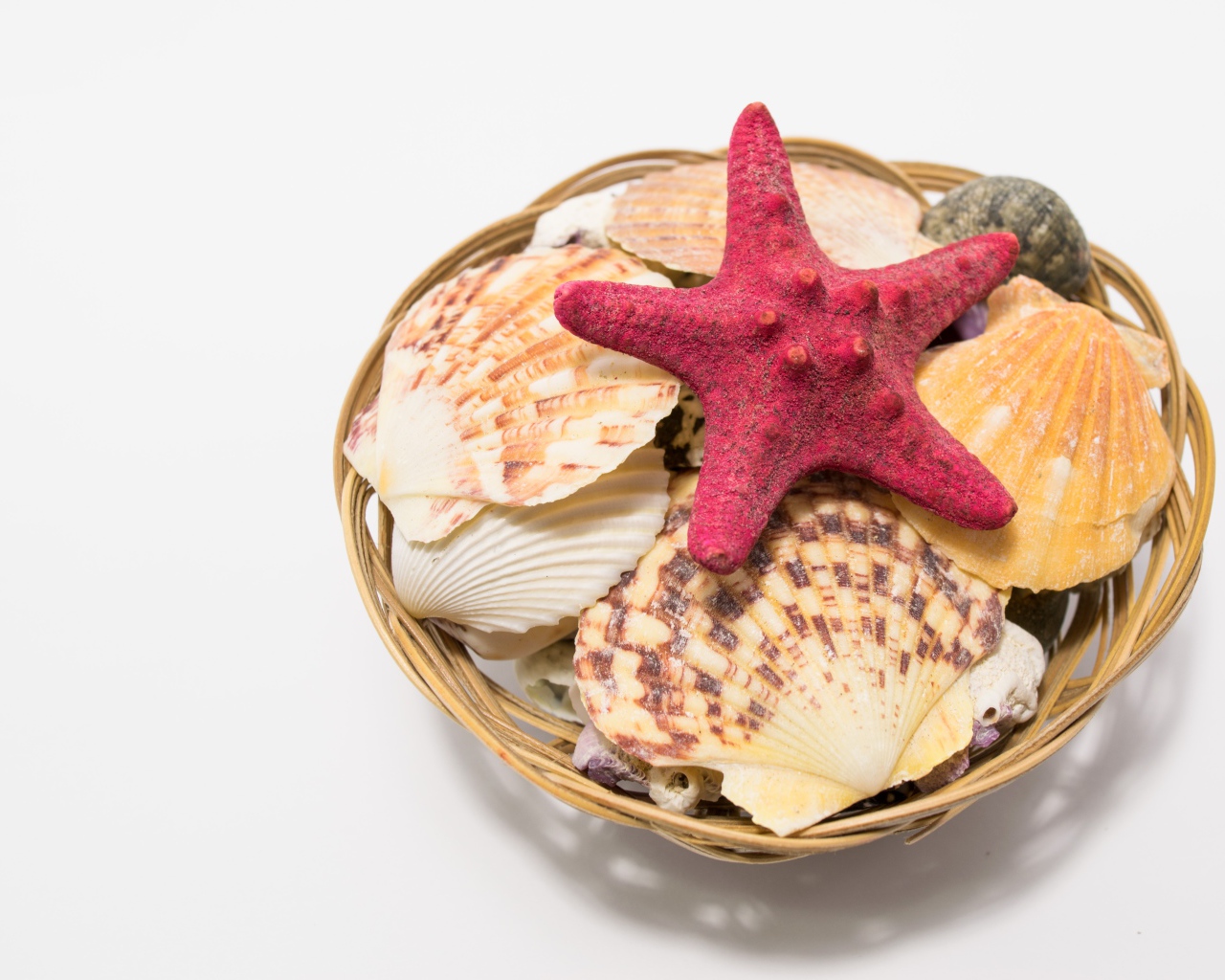 Красная морская звезда и ракушки в корзине на столе 