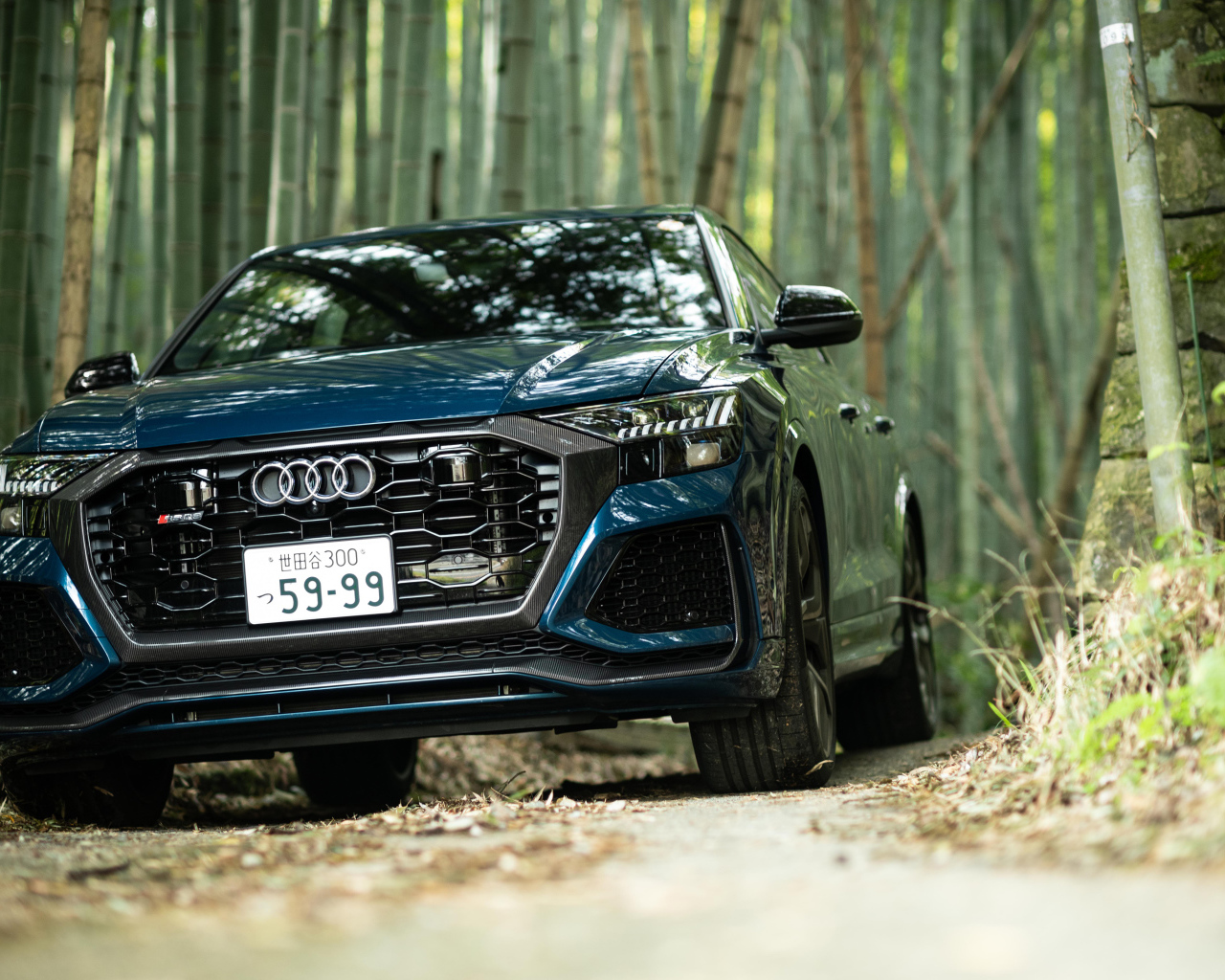 Автомобиль Audi RS Q8 2021 года в лесу