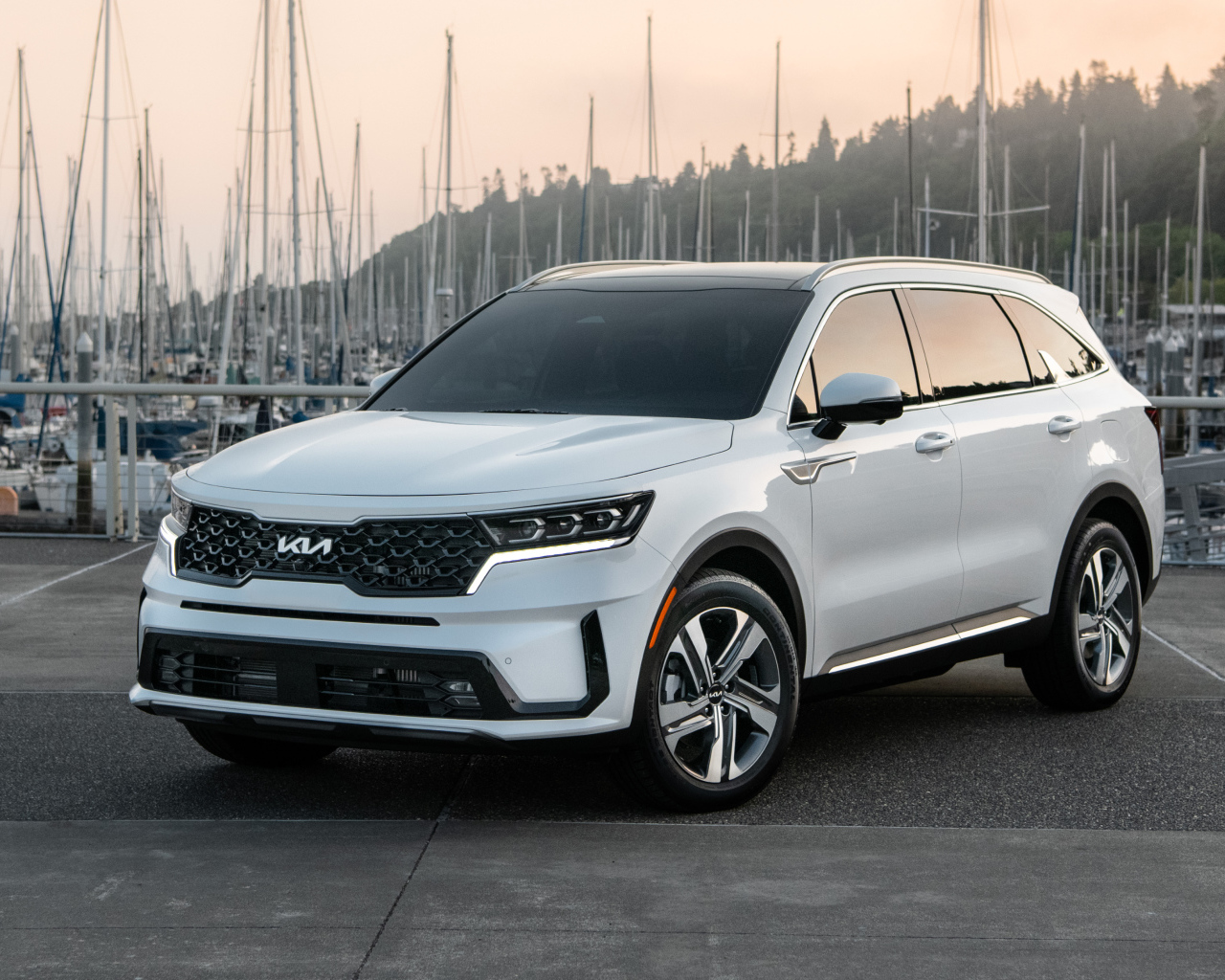 Автомобиль Kia Sorento PHEV, 2022 года в порту