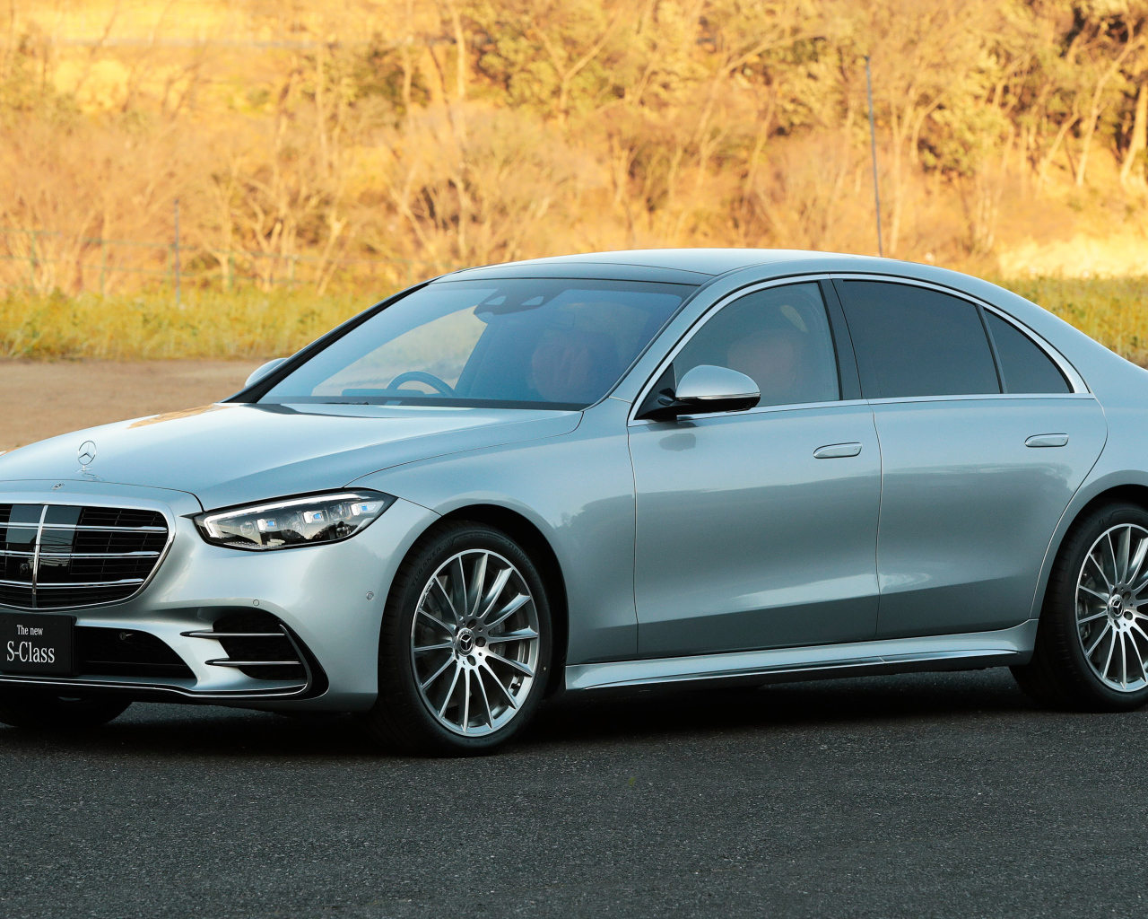 Серебристый автомобиль  Mercedes-Benz S-Class S500 4MATIC Lang AMG Line 2021 года