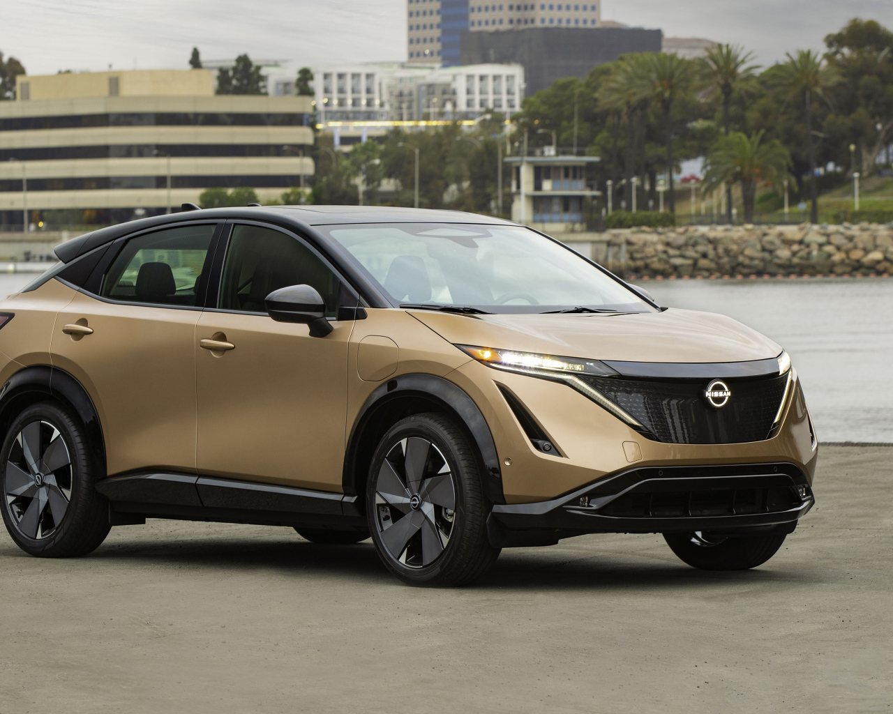 Коричневый автомобиль Nissan Ariya SL E-4orce, 2021 года у воды