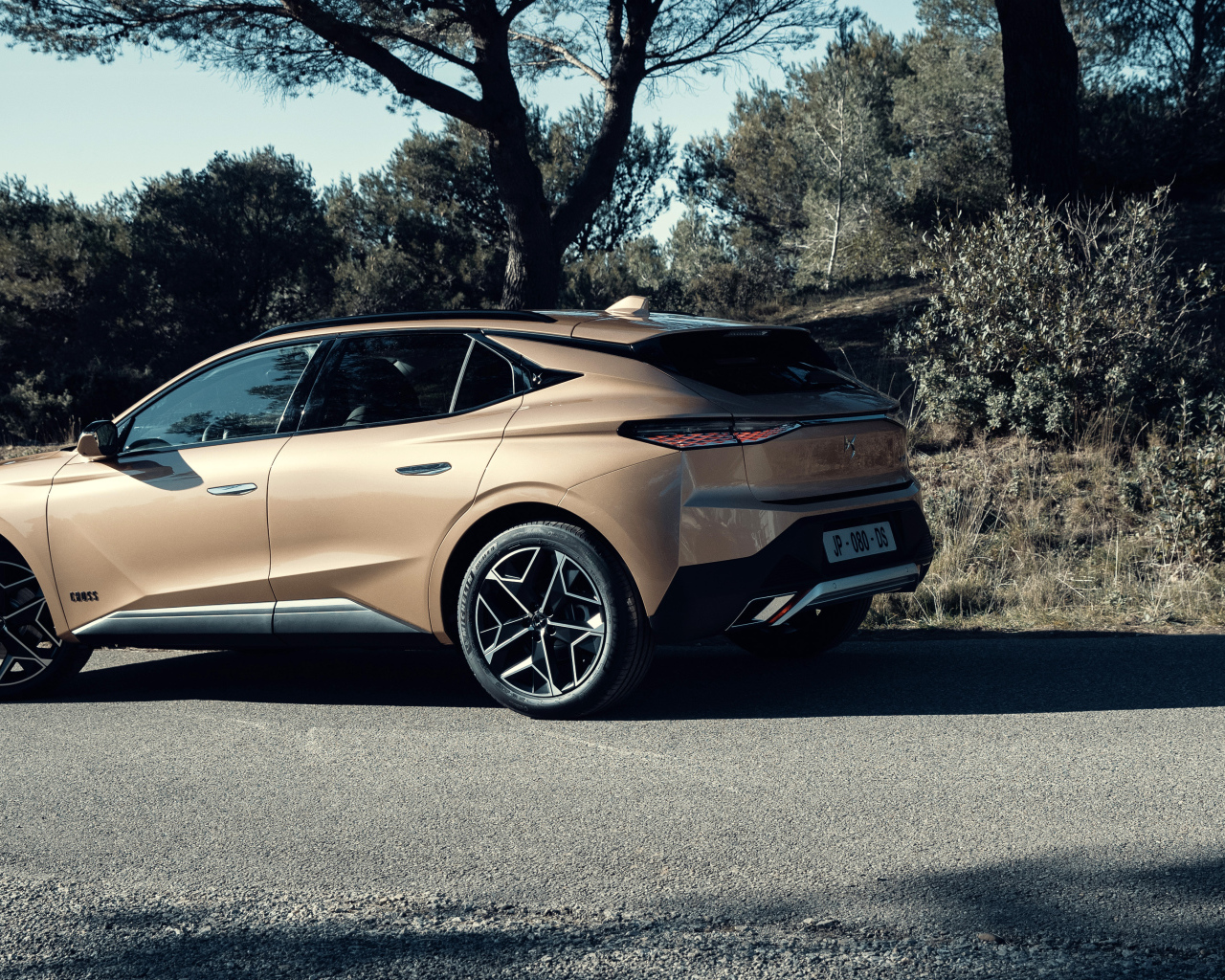 Автомобиль DS 4 Cross 2021  года вид сзади