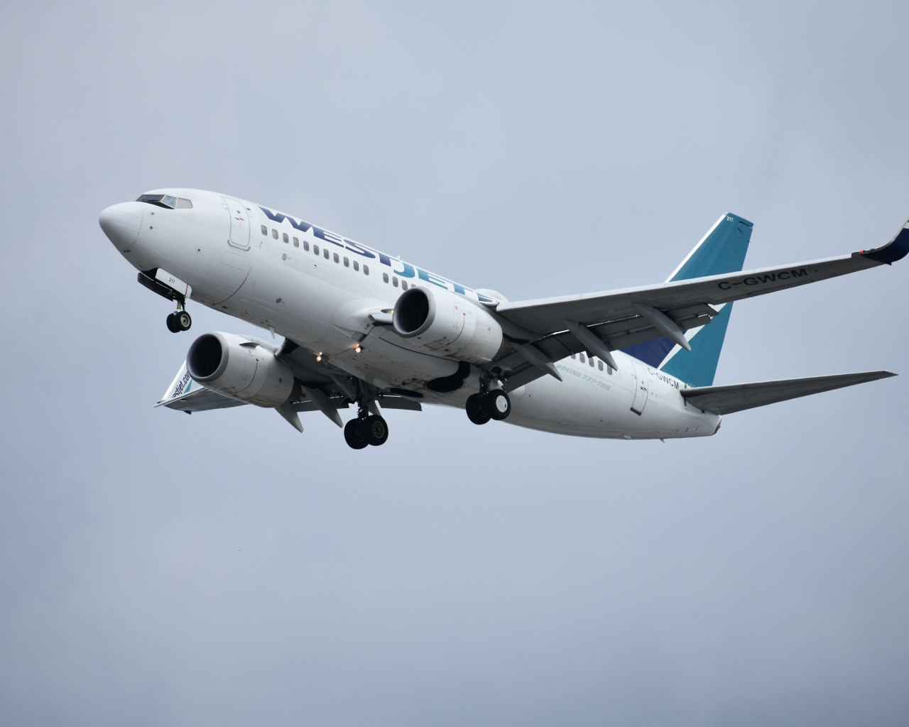 Пассажирский Boeing 737 авиакомпании  WestJet в небе 