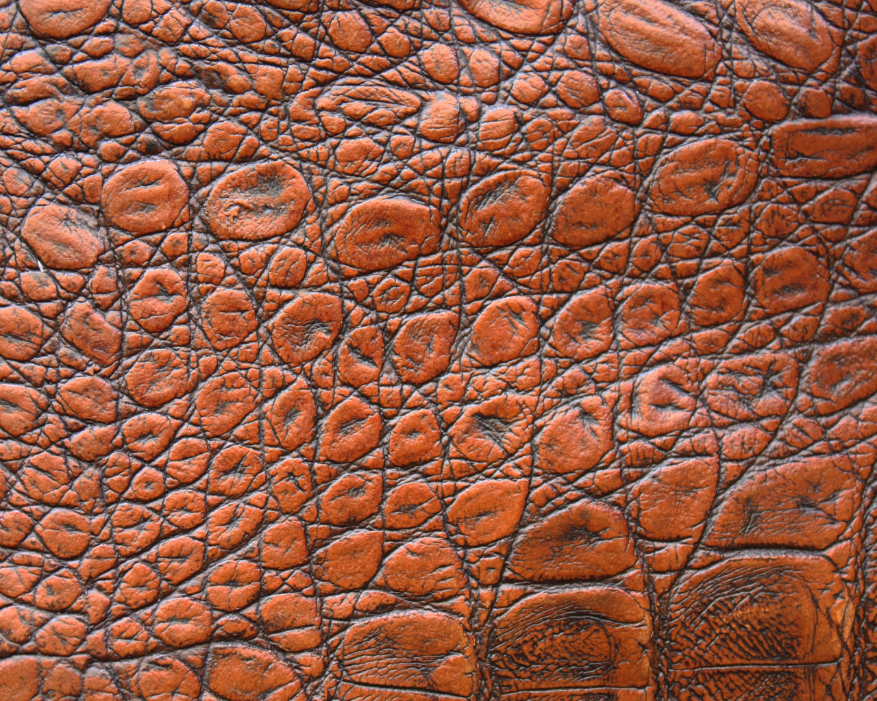 Коричневая кожа крокодила крупным планом, фон