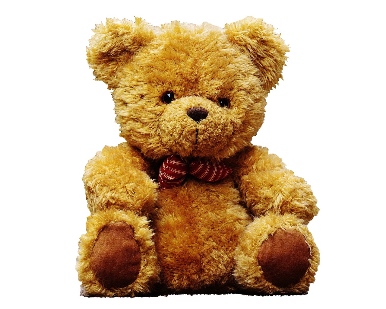 Большой плюшевый медведь на белом фоне