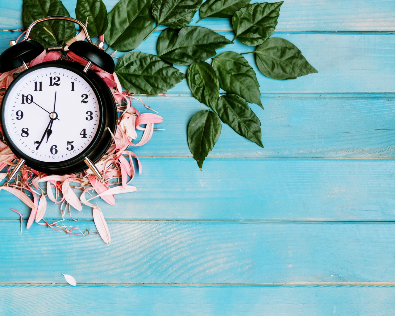 Черный будильник с лепестками цветов и зелеными листьями