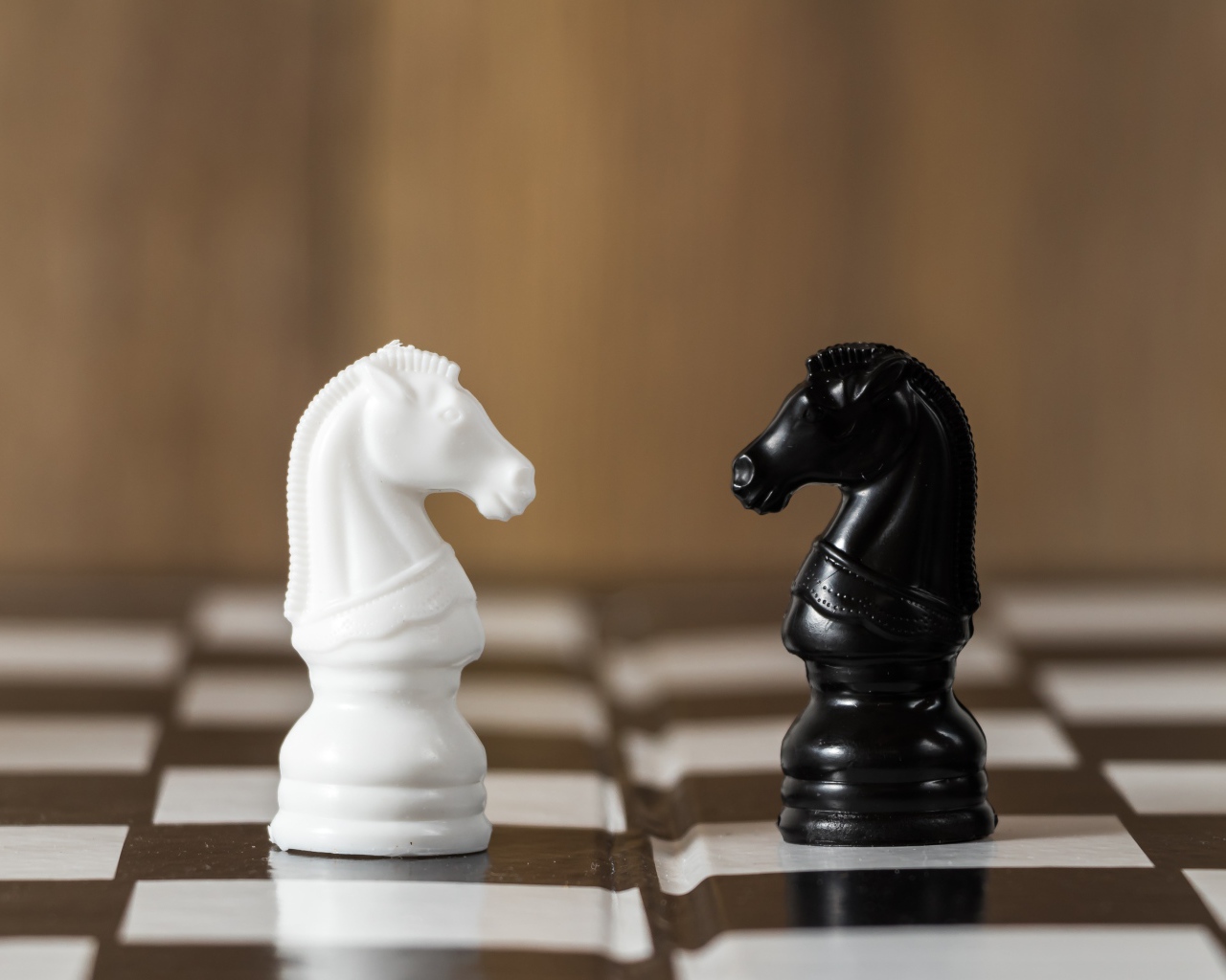 Черный и белый шахматный конь