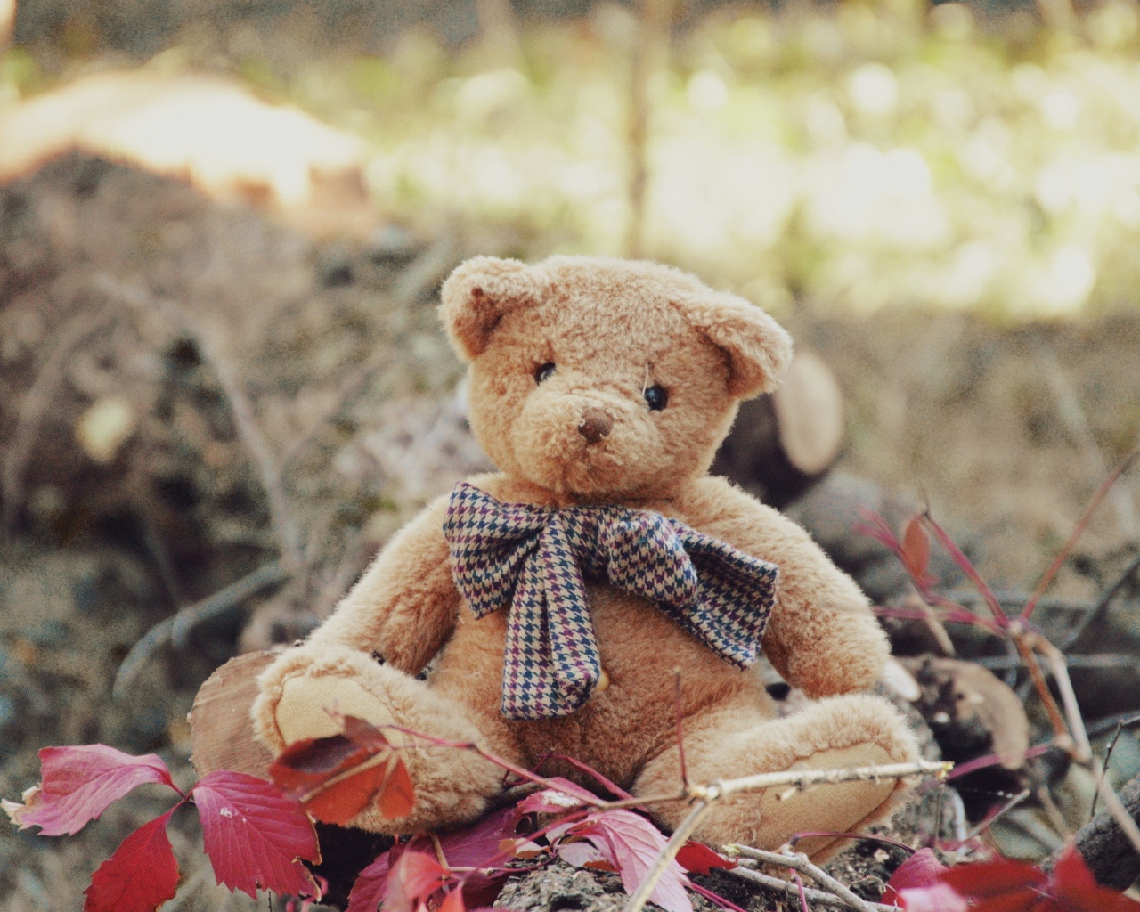 Маленький плюшевый мишка сидит на земле 