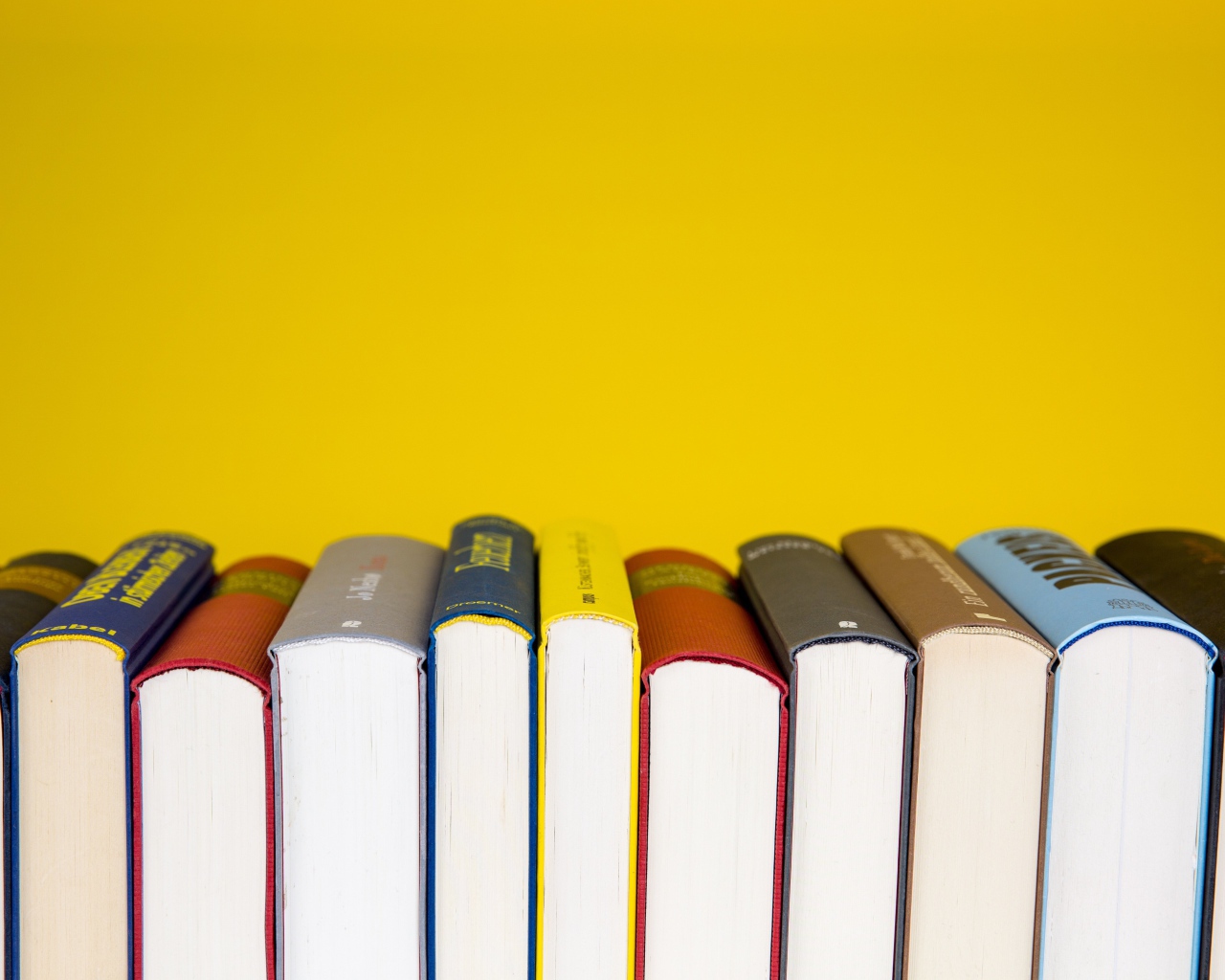 Много книг на желтом фоне