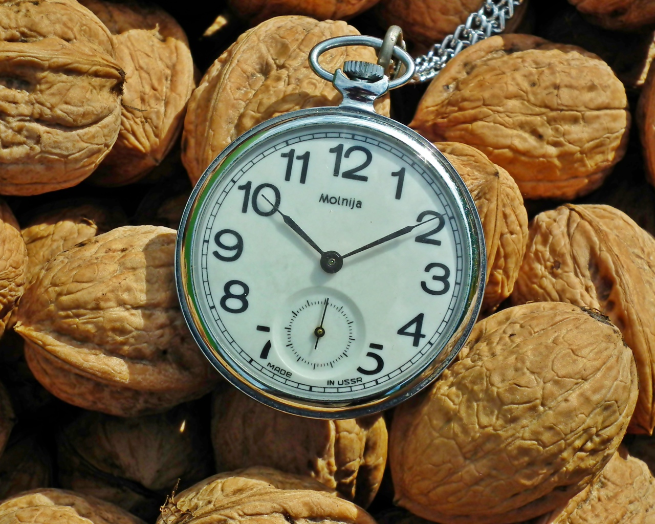 Карманные часы с грецкими орехами 