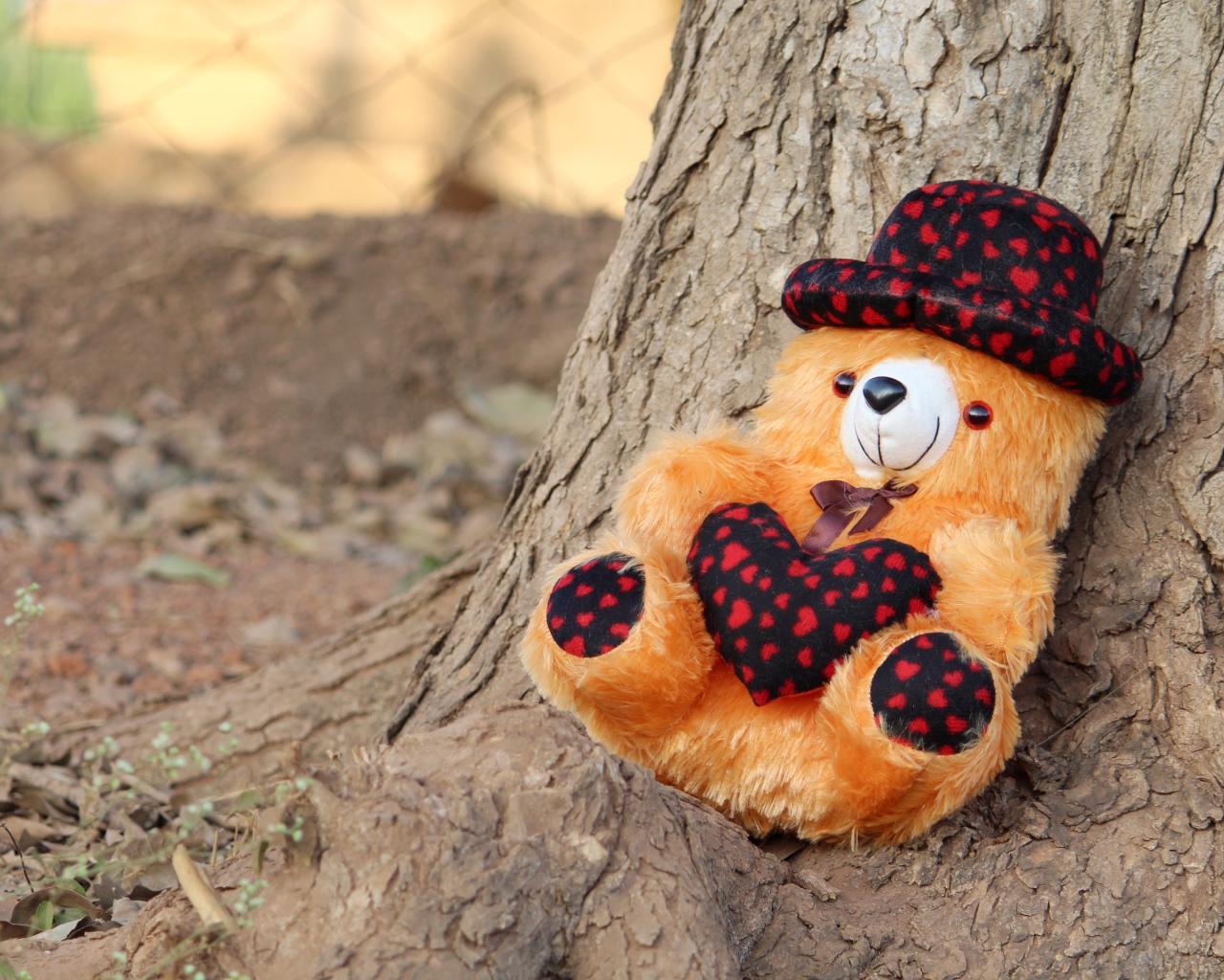Медвежонок Тедди лежит под деревом