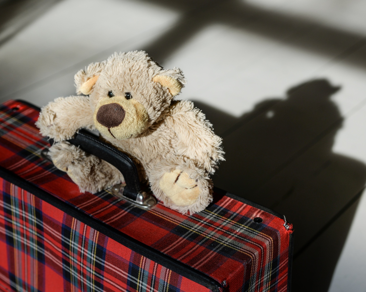 Медвежонок Тедди с большим чемоданом 