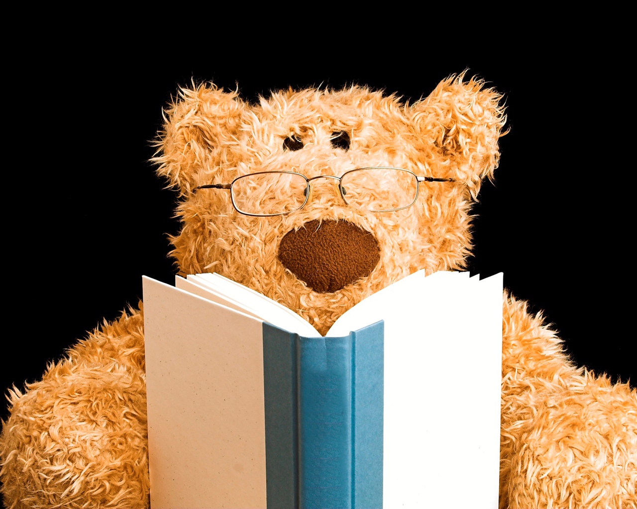 Игрушечный медведь в очках с книгой на черном фоне