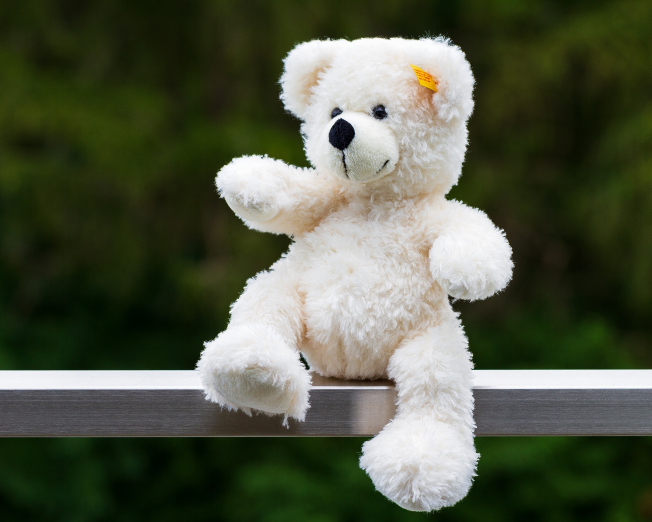 Белый плюшевый медведь сидит на деревянной доске