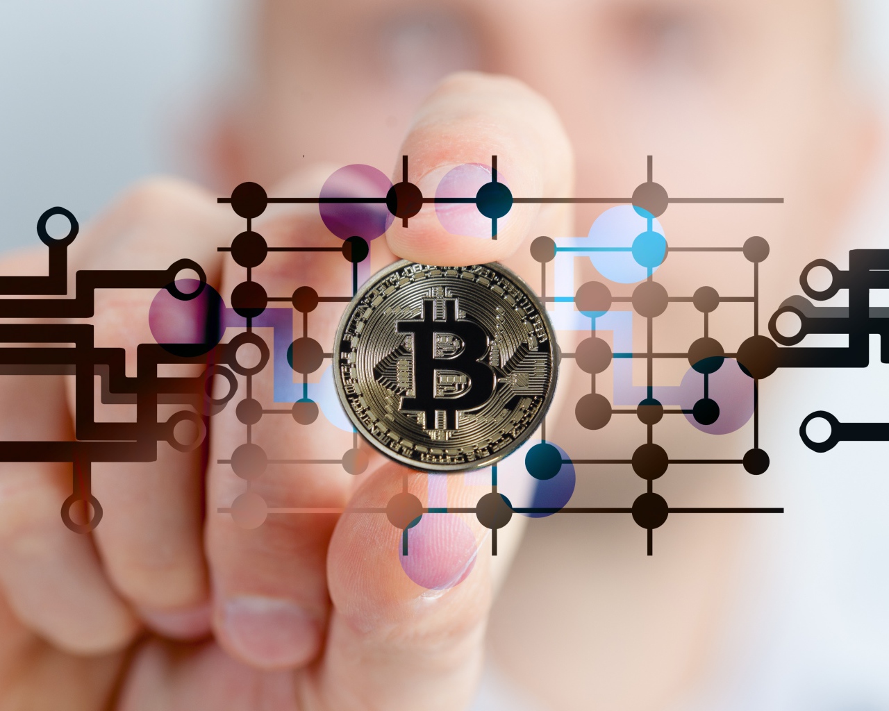 Bitcoin coin in the scheme