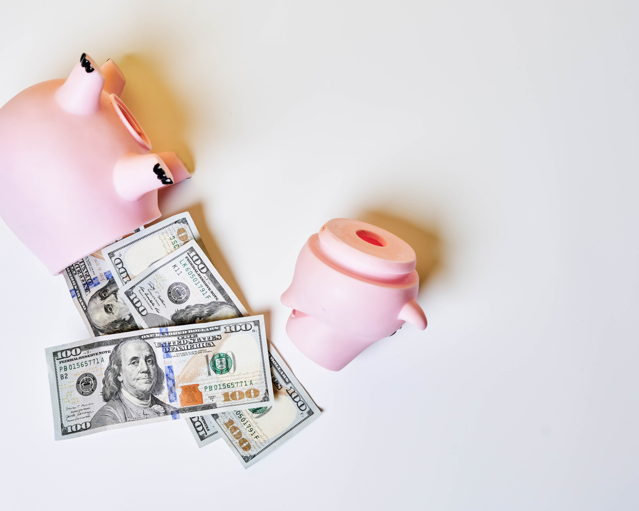 Pig piggy bank with dollars on gray background