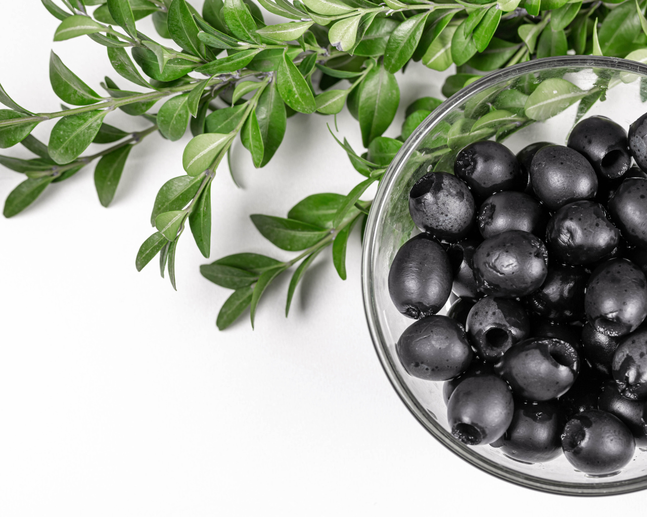 Черные маслины с веткой на белом фоне