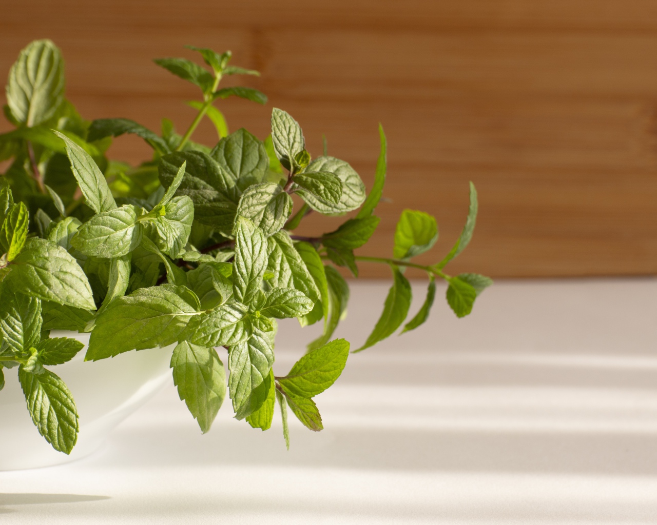 Свежие ароматные зеленые листья мяты