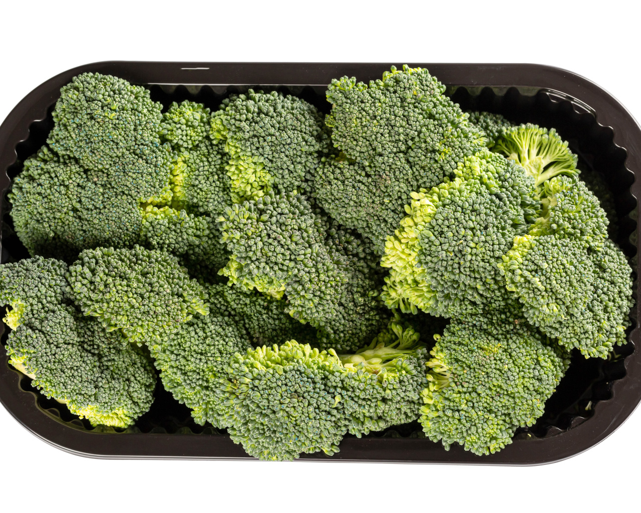 Зеленые брокколи в черной форме на белом фоне 