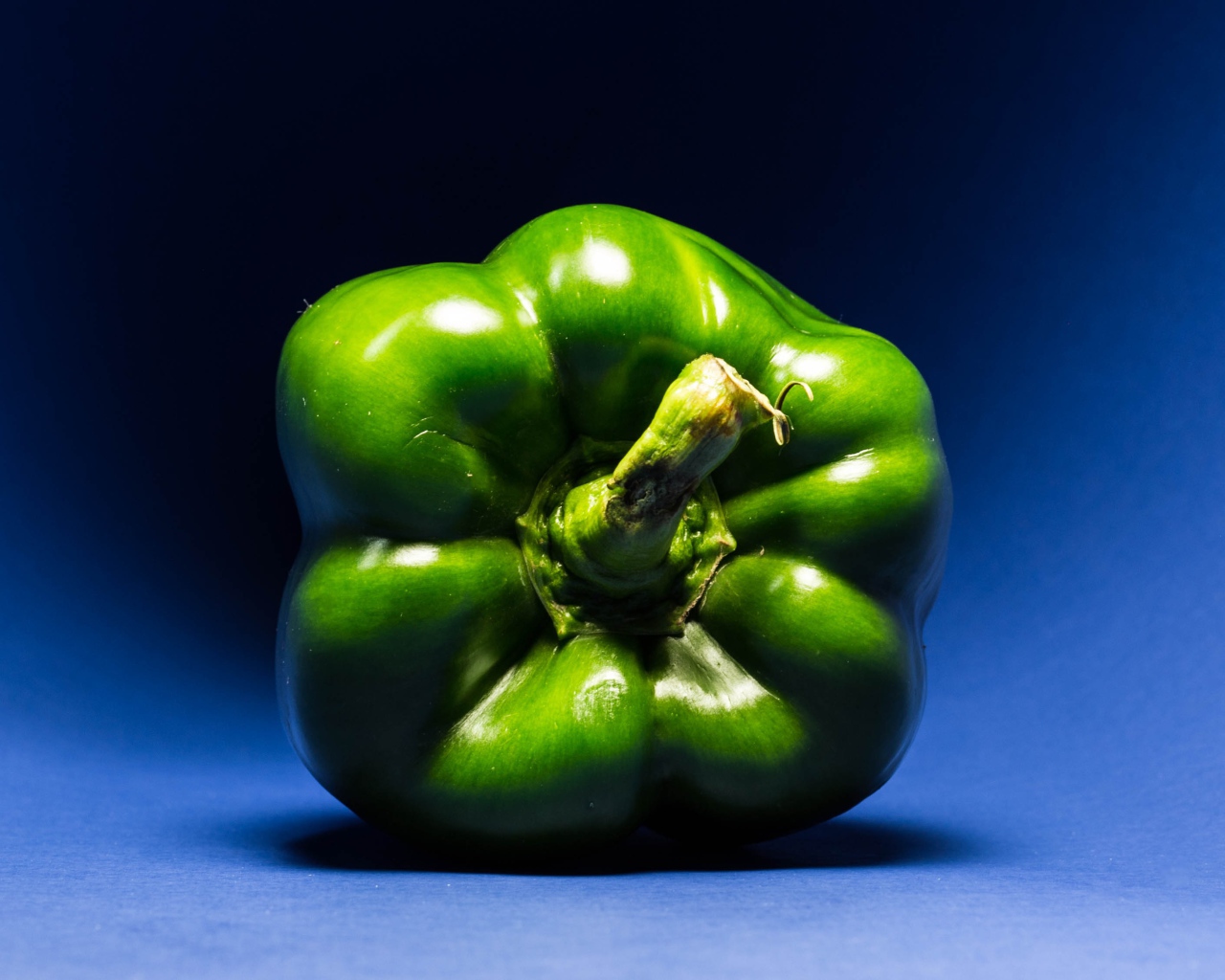 Зеленый перец паприка на синем фоне