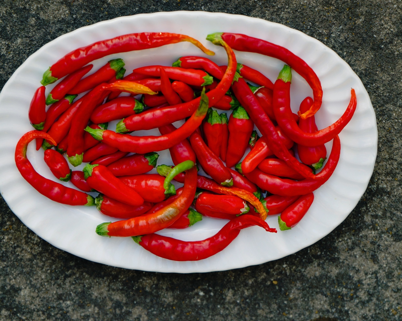 Острый красный перец чили на большой белой тарелке