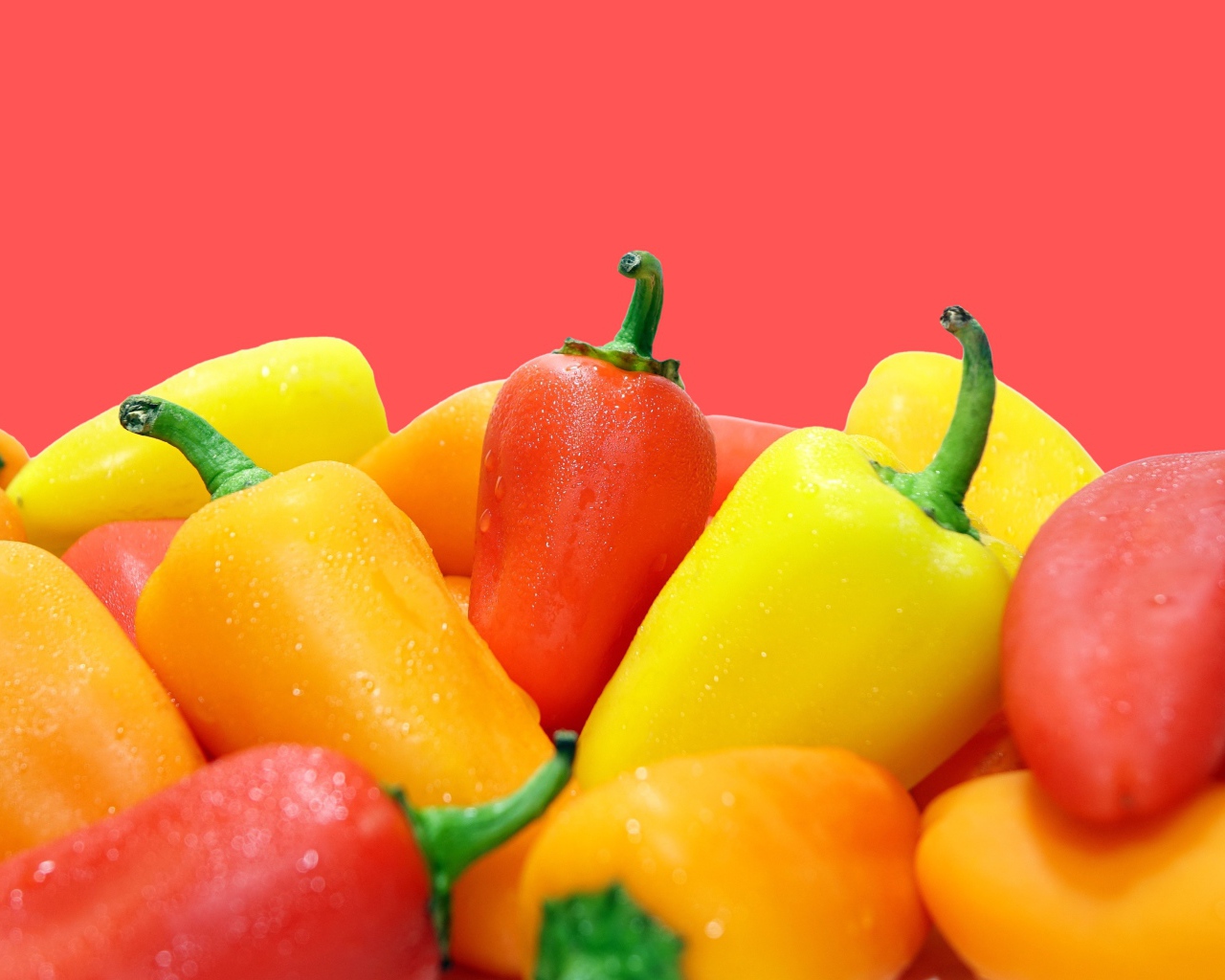 Красный и желтый перец на розовом фоне 