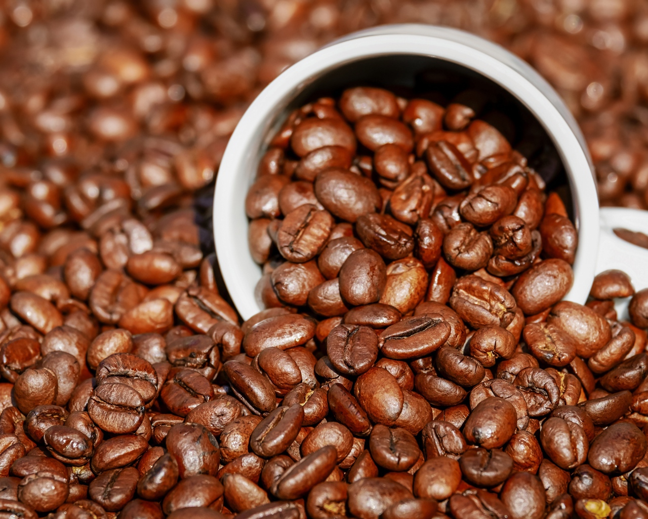 Обжаренные кофейные зерна на столе с чашкой