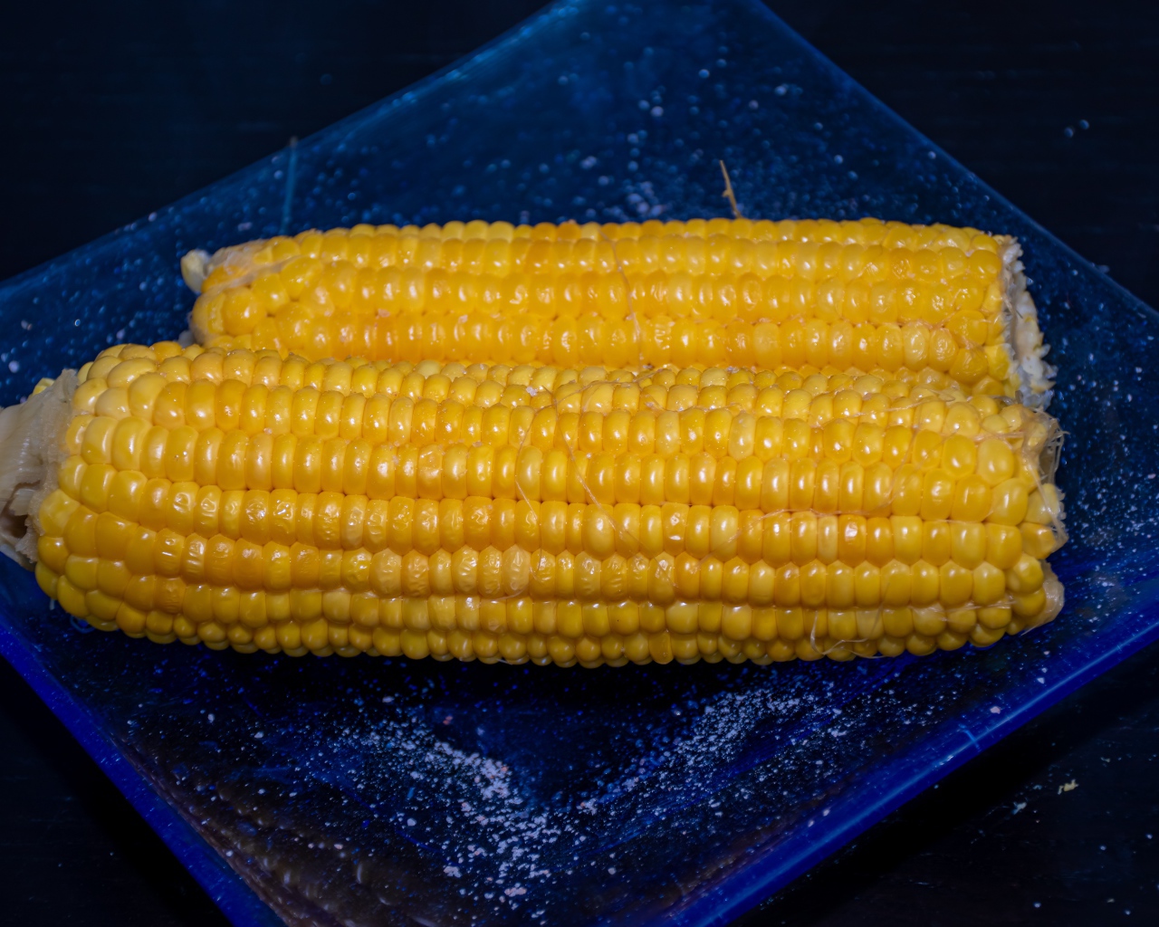 Два желтых початка кукурузы на синей тарелке