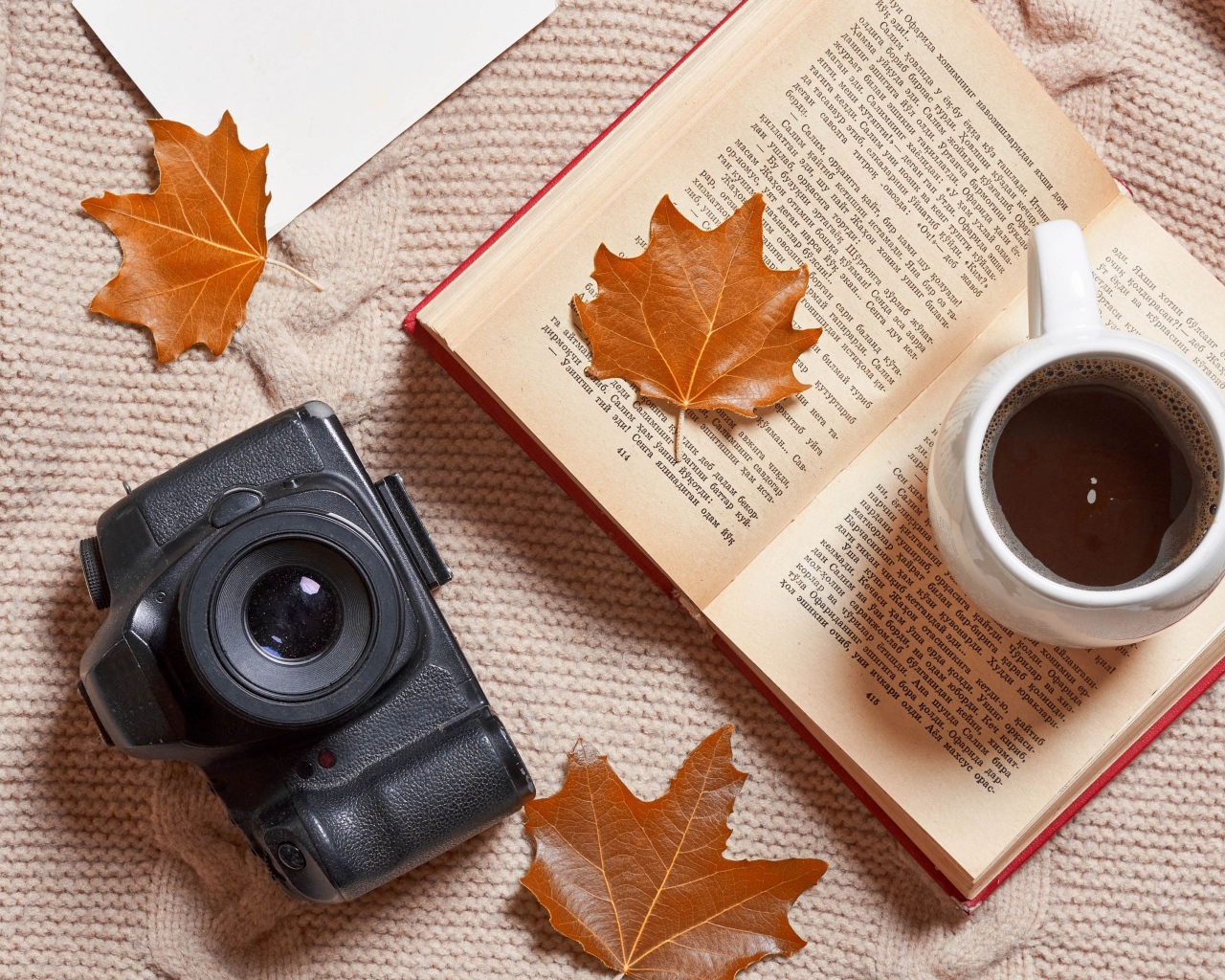 Книга с чашкой чая и фотоаппаратом на теплой кофте