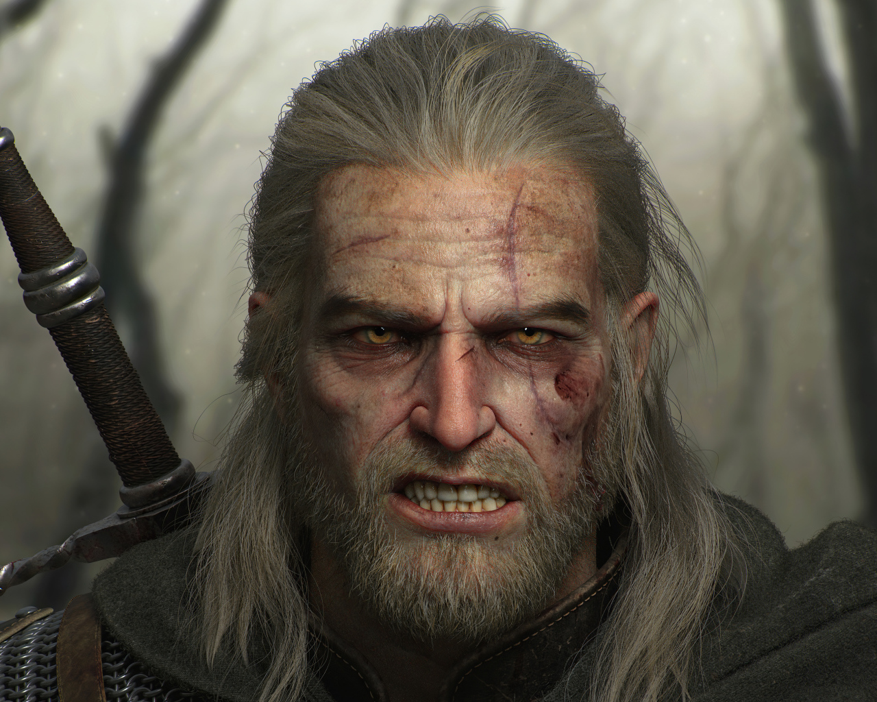 Warrior from the game Geralt Of Rivia The Witcher 3
