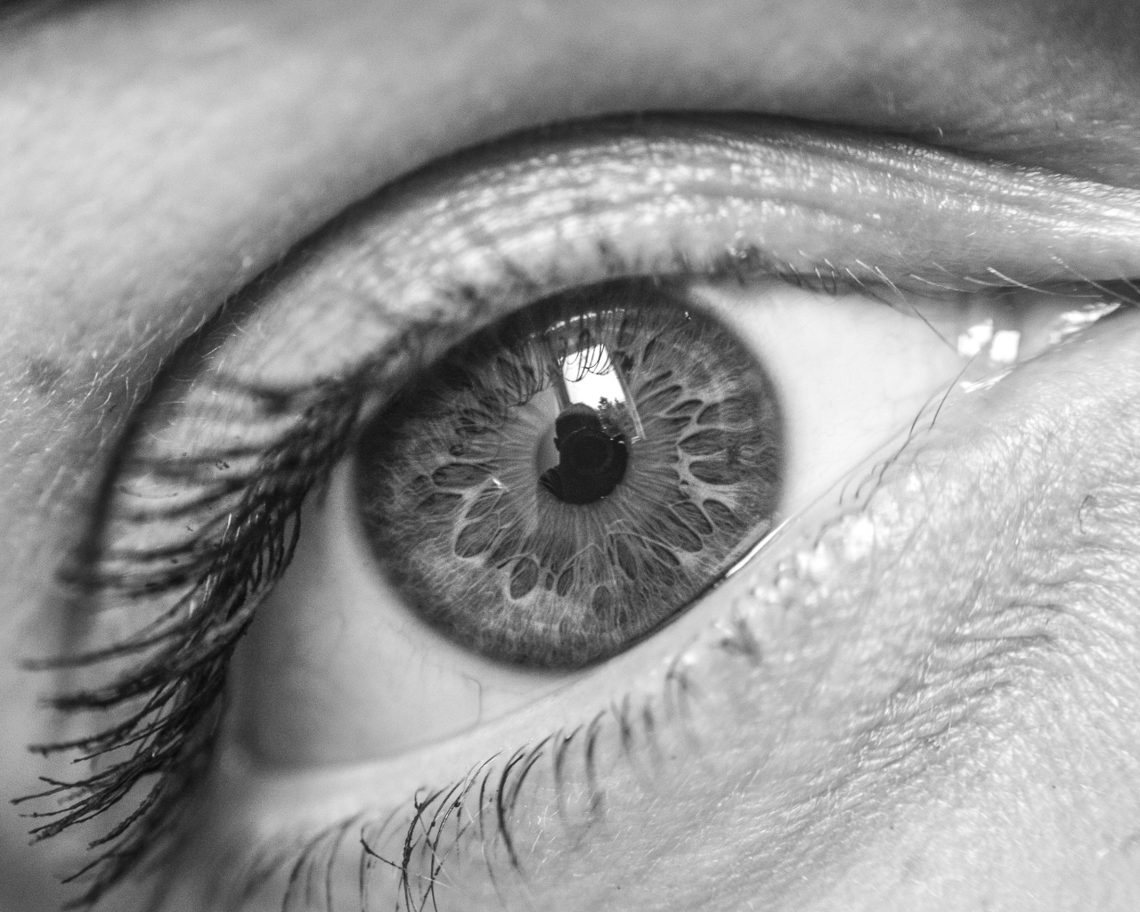 Красивый глаз девушки черно-белое фото