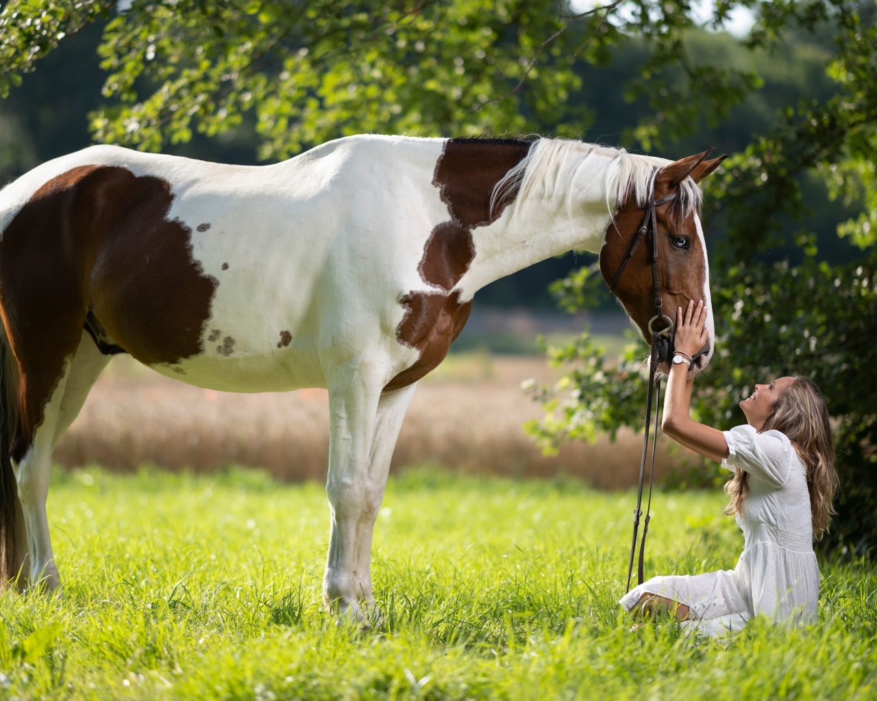Девушка блондинка с лошадью на зеленой траве