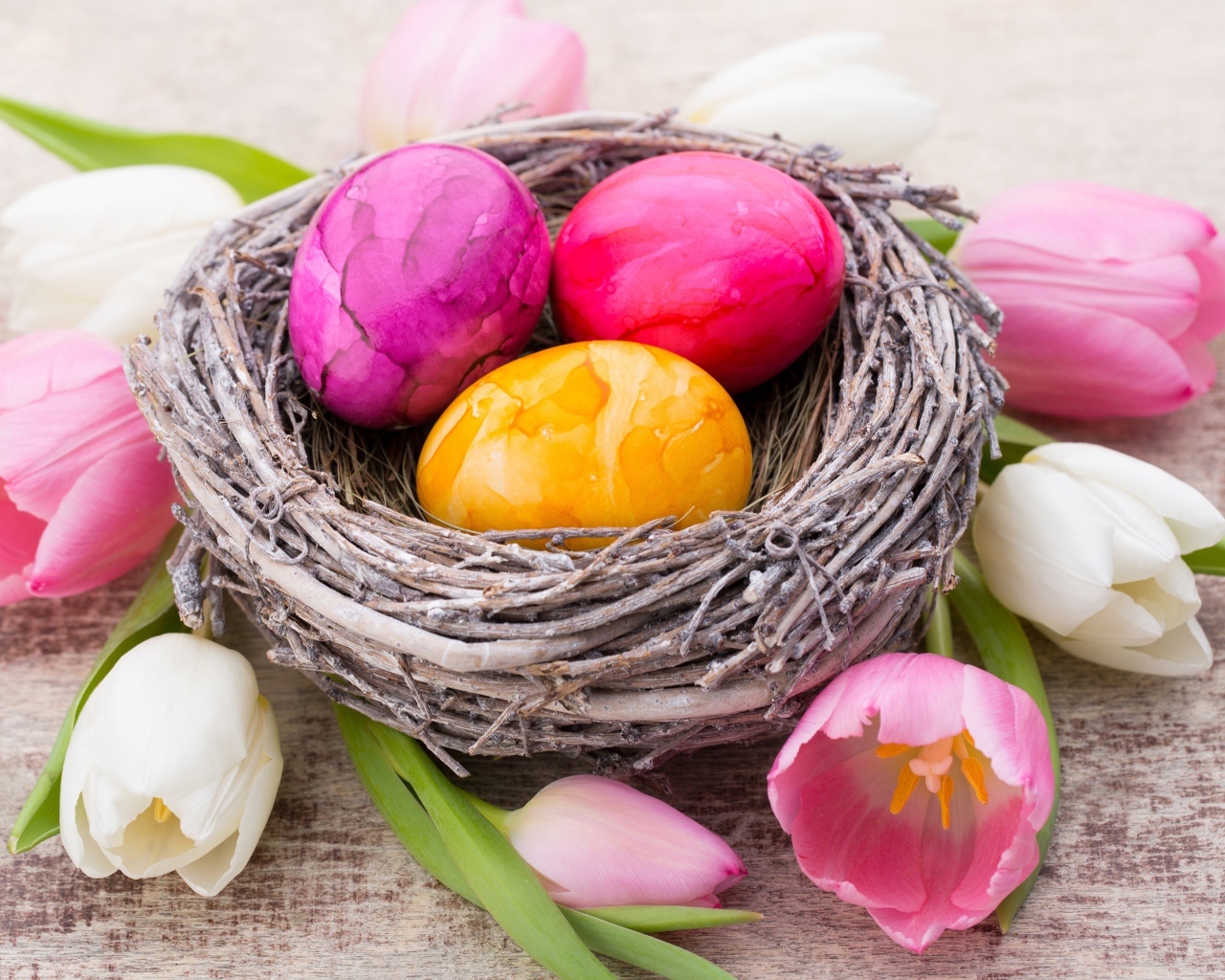 Три разноцветных яйца в гнезде с тюльпанами на праздник Пасха
