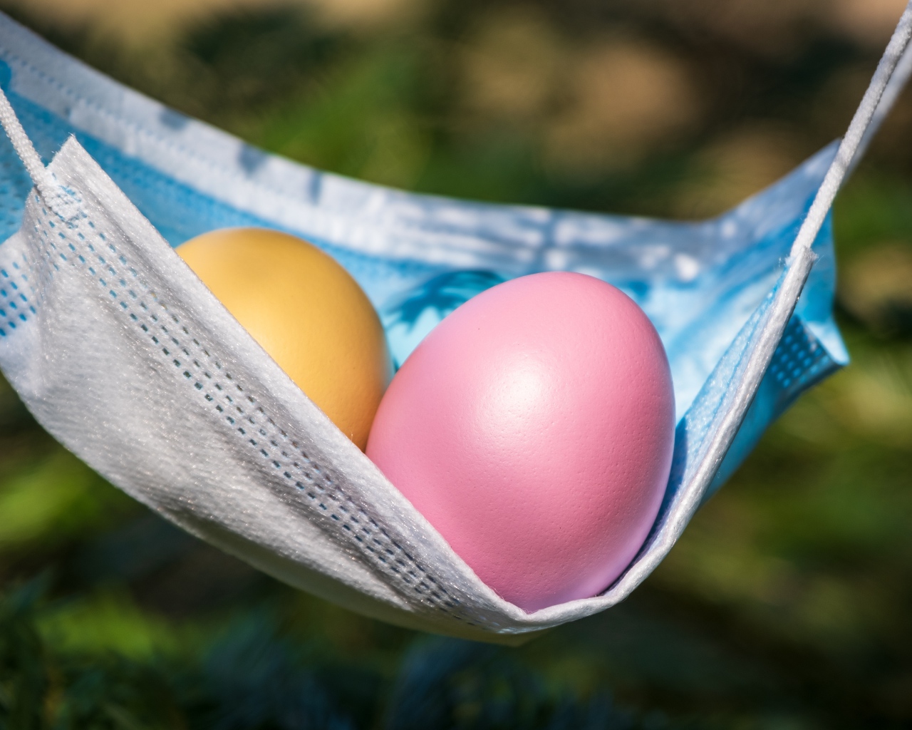 Два крашеных пасхальных яйца в маске от коронавируса