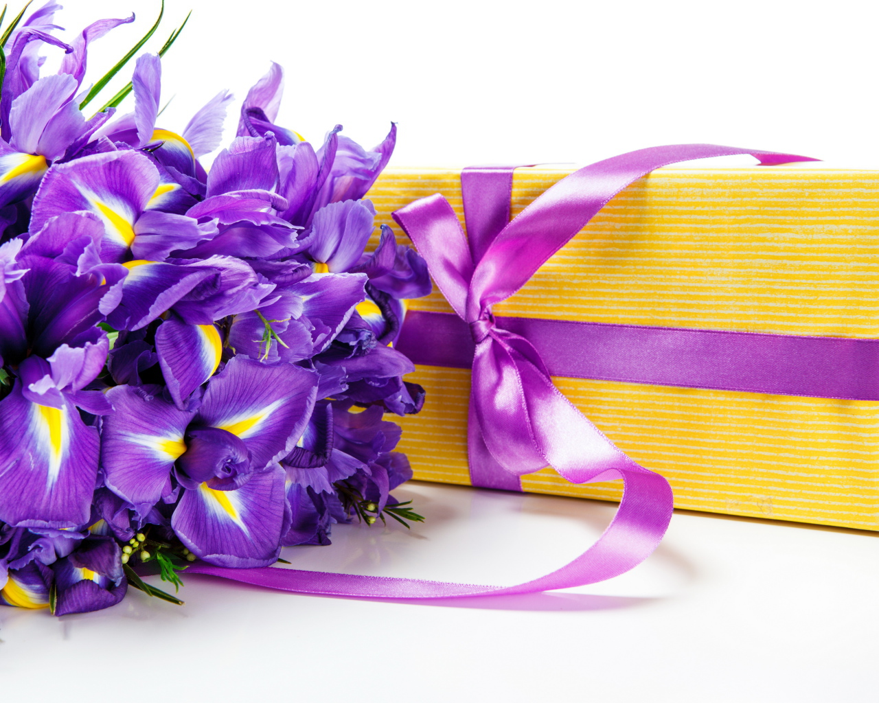 Цветы ириса и подарок на белом фоне на 8 марта