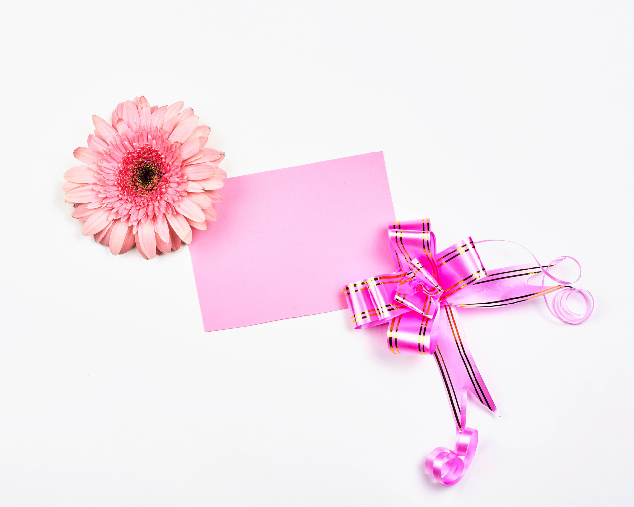 Лист, цветок герберы и бант шаблон для открытки на 8 марта