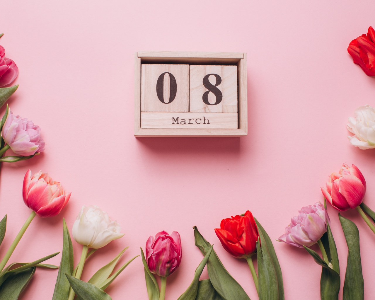 Тюльпаны с кубиками на розовом фоне на 8 марта