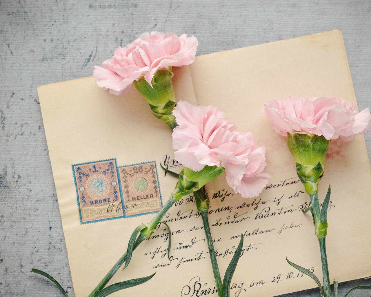 Три розовые гвоздики с письмом на столе на 9 мая