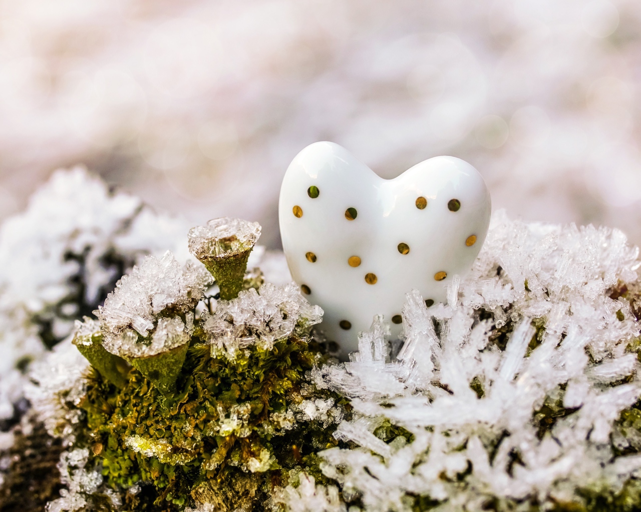 Фарфоровое сердце на мху в снегу