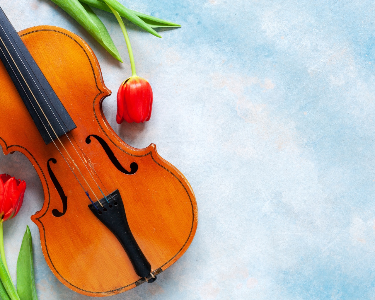 Скрипка с тюльпанами на голубом фоне