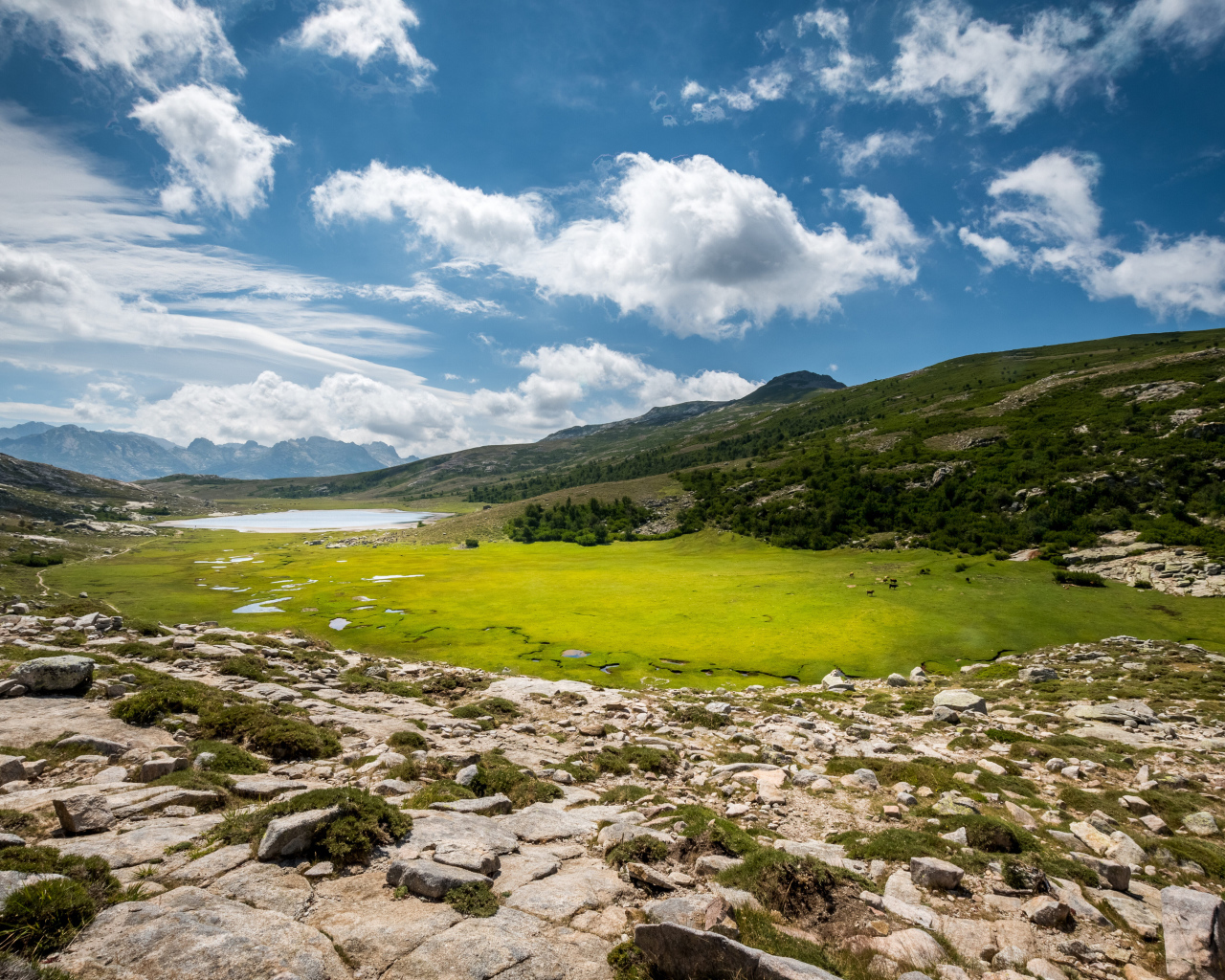 Красивое небо над зеленым лугом в горах 