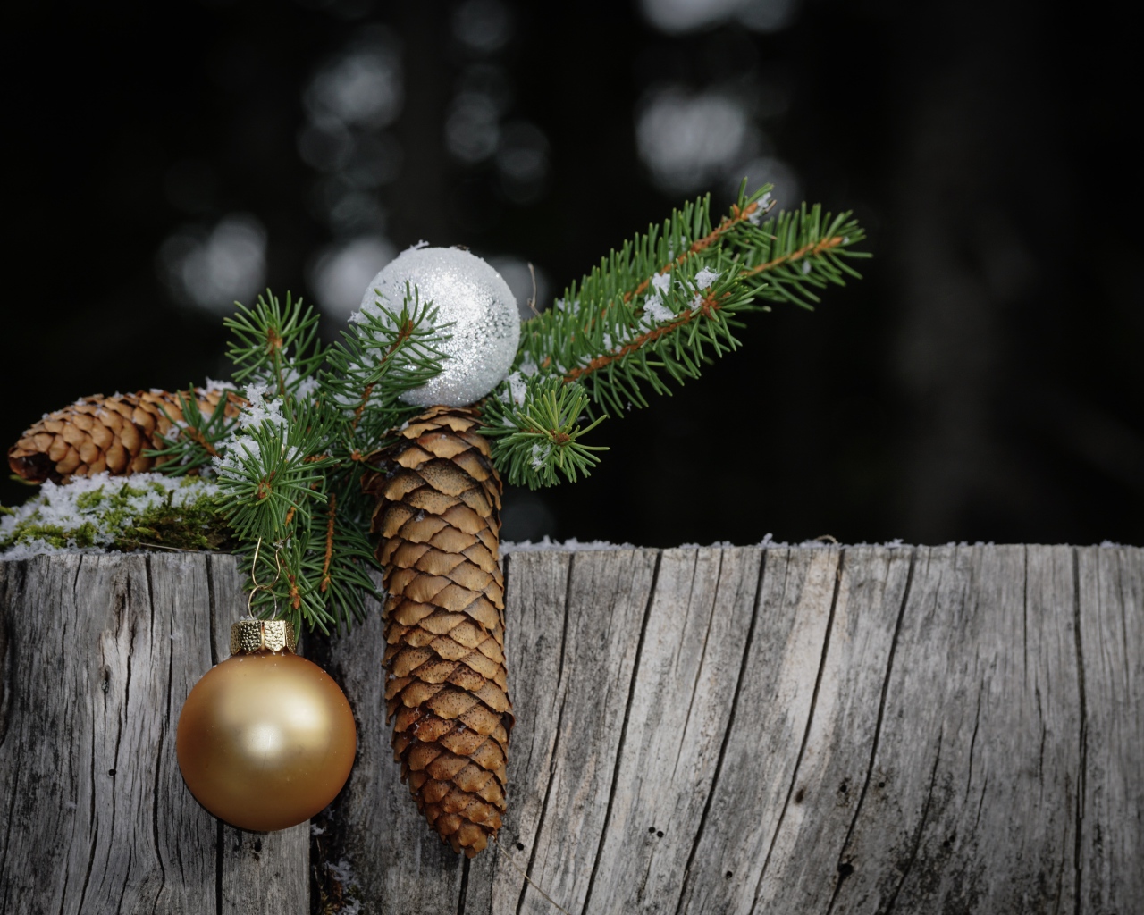 Зеленая ветка ели с шишкой и шариком на пне 