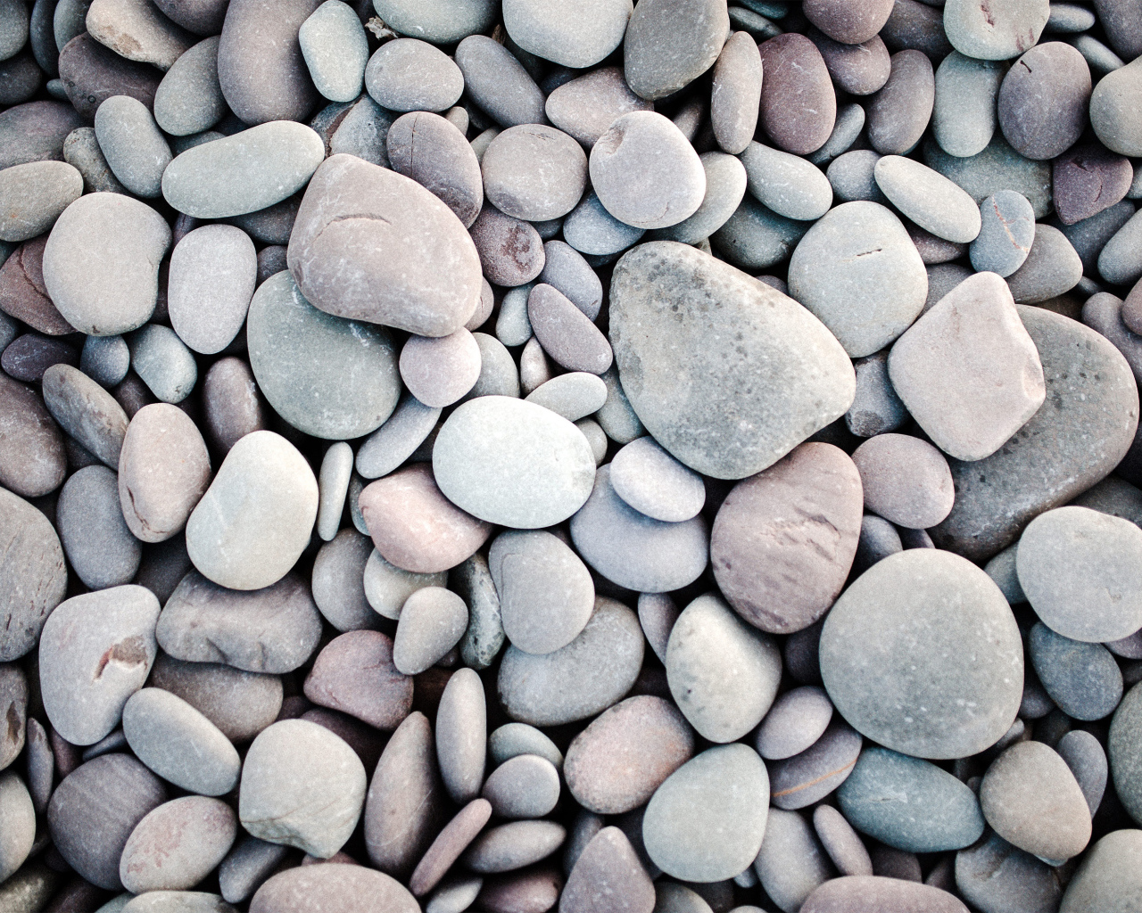 Много серых камней разной формы